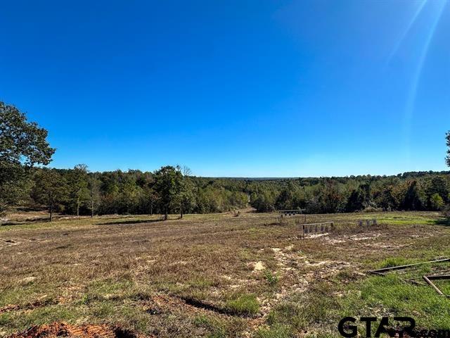Tbd Cr 314 Property Photo