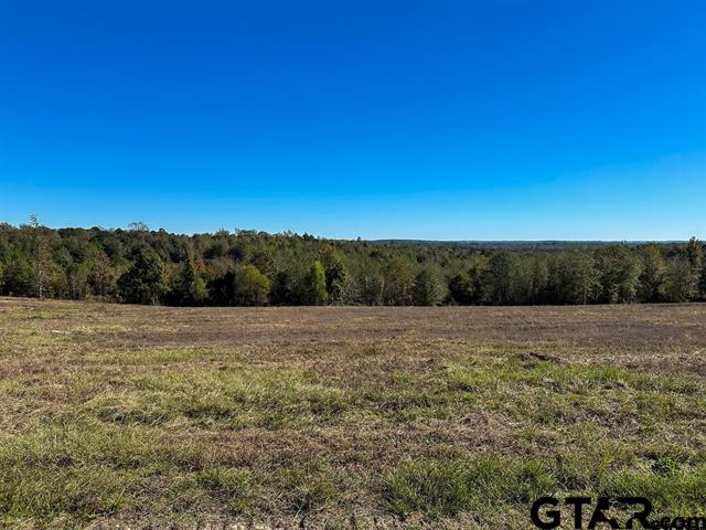 Tbd Cr 314 Property Photo
