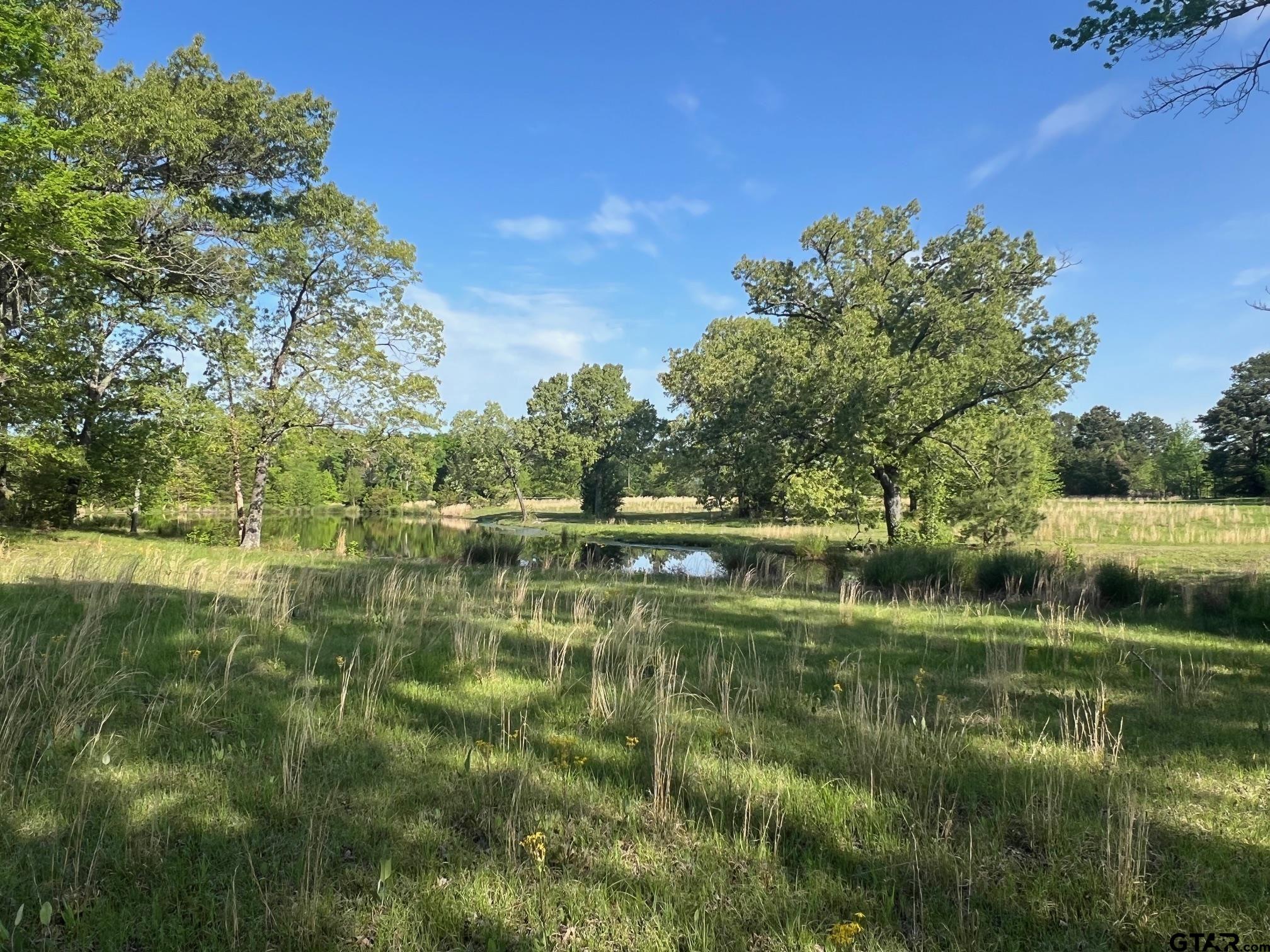 Tbd Cr 1755 Property Photo 2