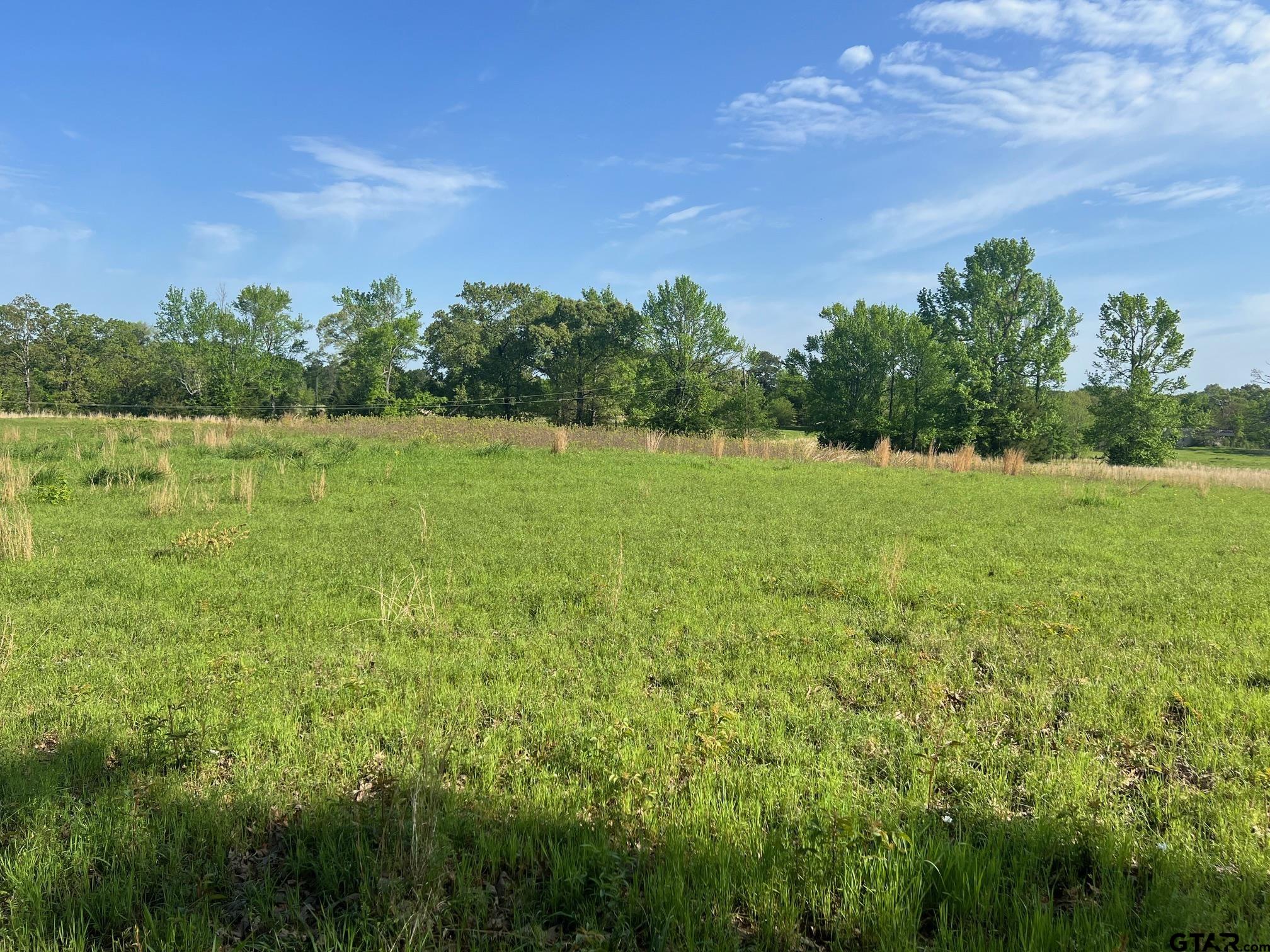 Tbd Cr 1755 Property Photo 3