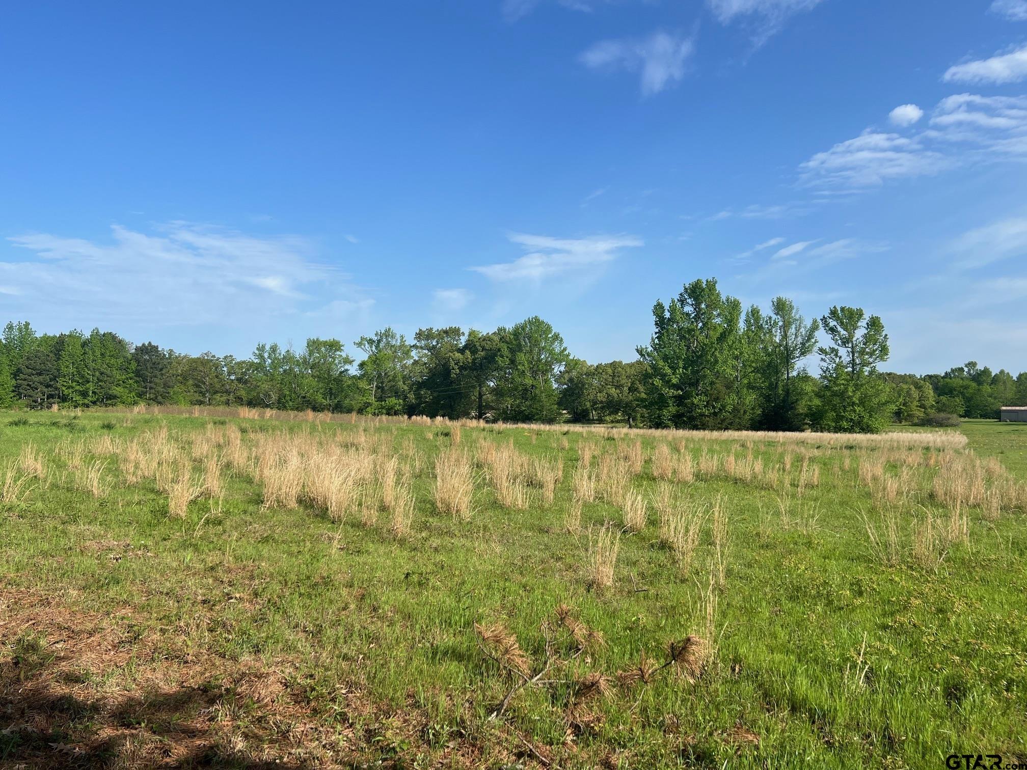 Tbd Cr 1755 Property Photo 4