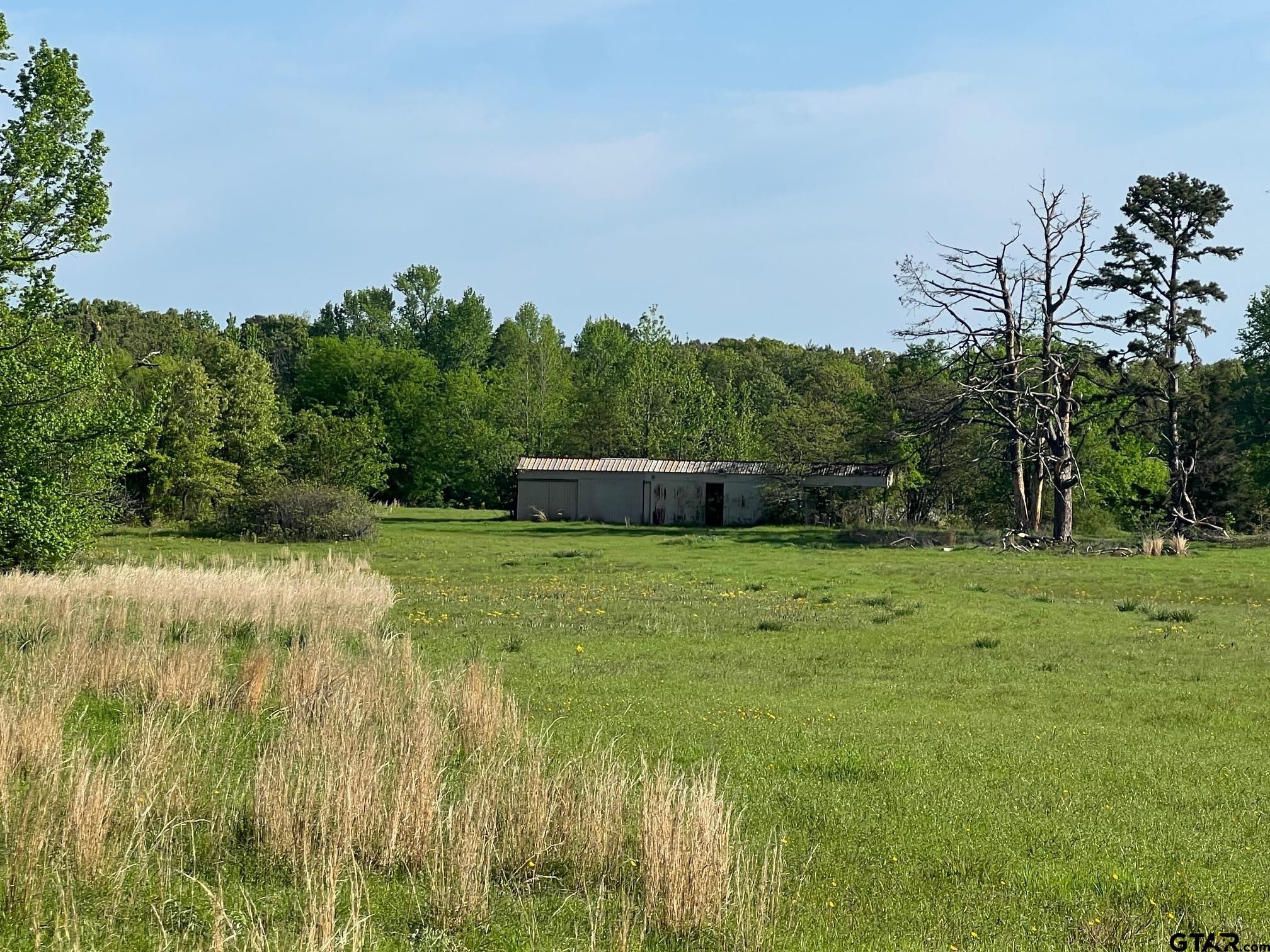 Tbd Cr 1755 Property Photo 5