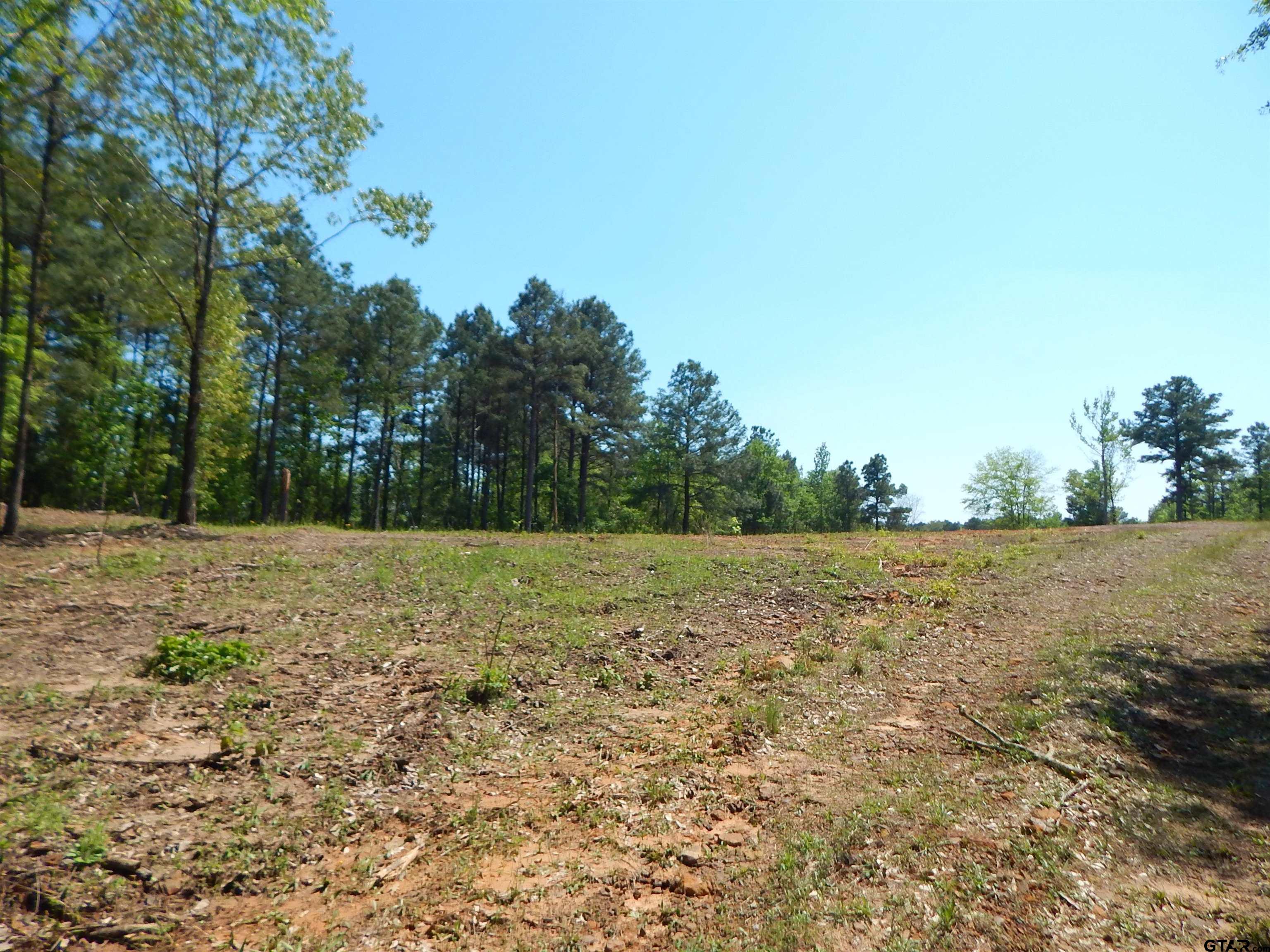 Tbd 15 Acres Fm 1795 Side 1 Property Photo 1