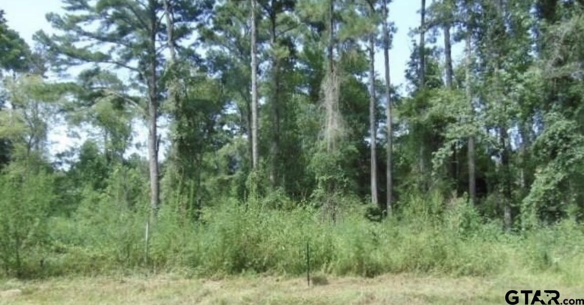 260 Chelsea Lane Property Photo 1