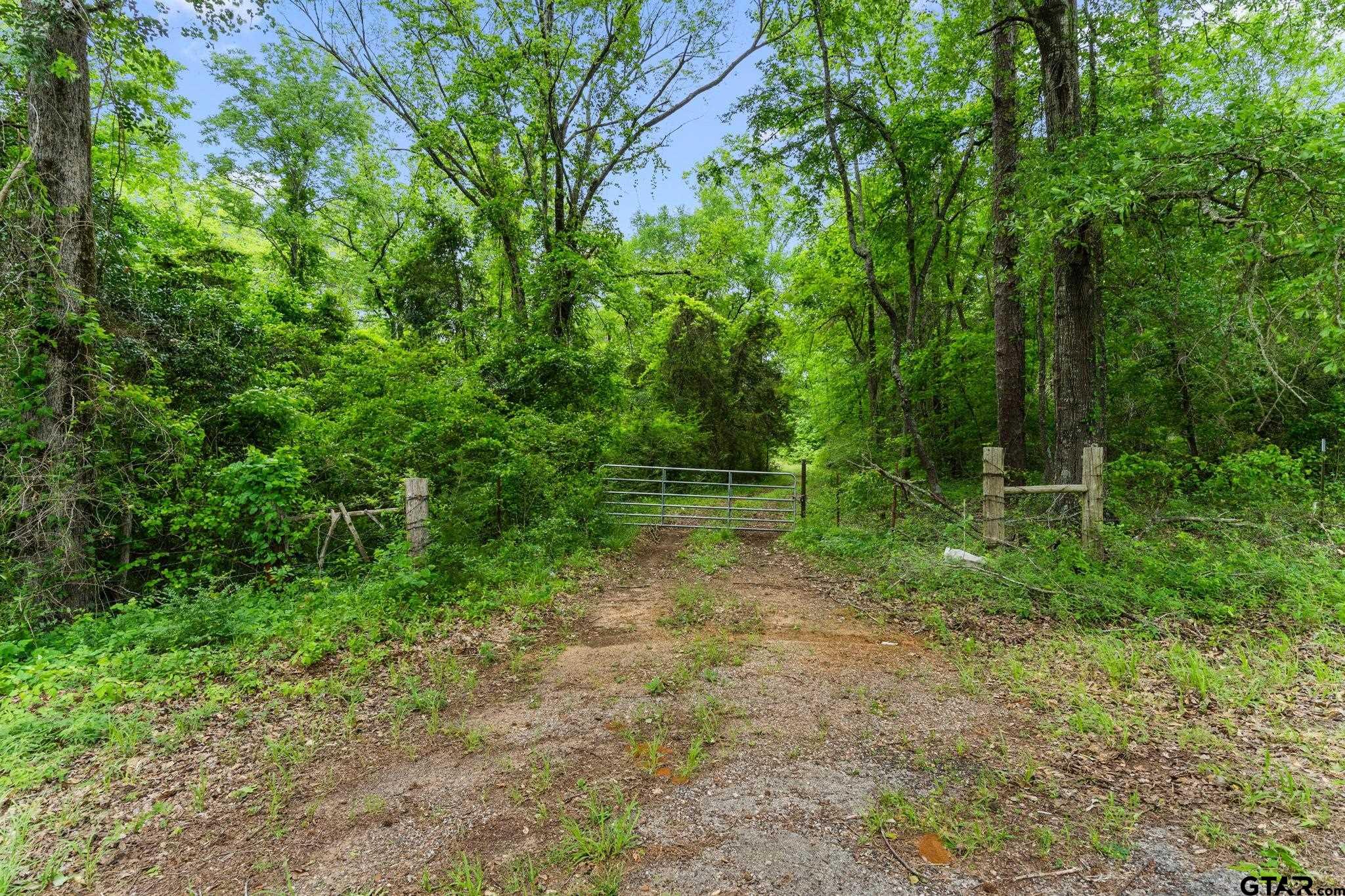 Tbd Cr 294 Property Photo
