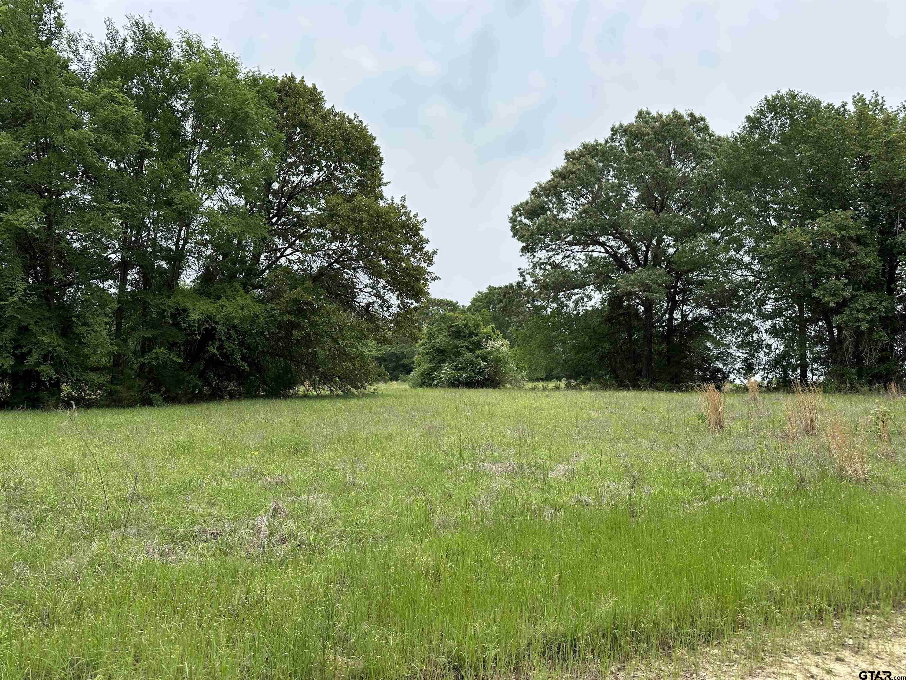 21478 Cr 294 Property Photo