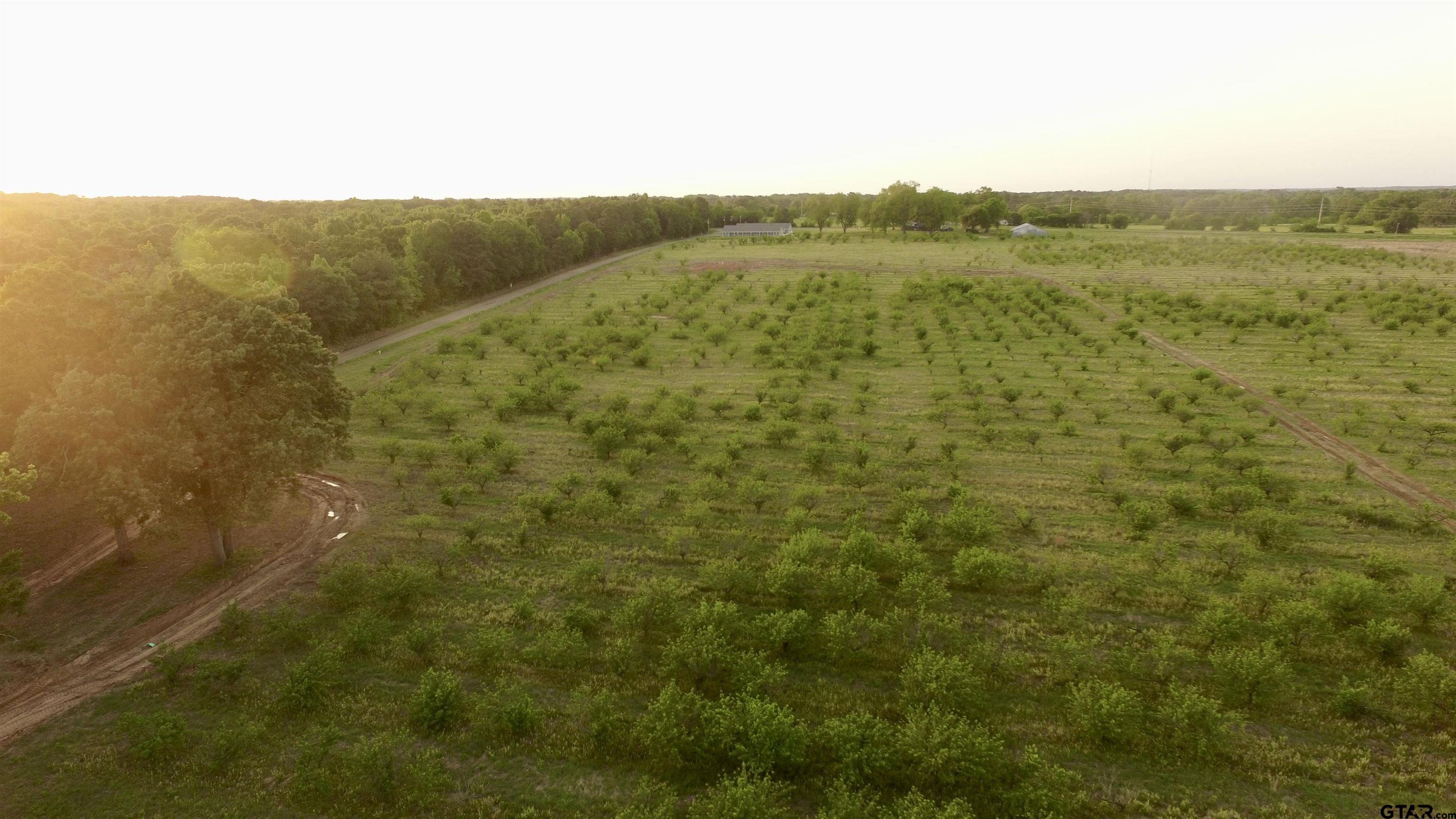 Lot 5 Cr 4230 Property Photo