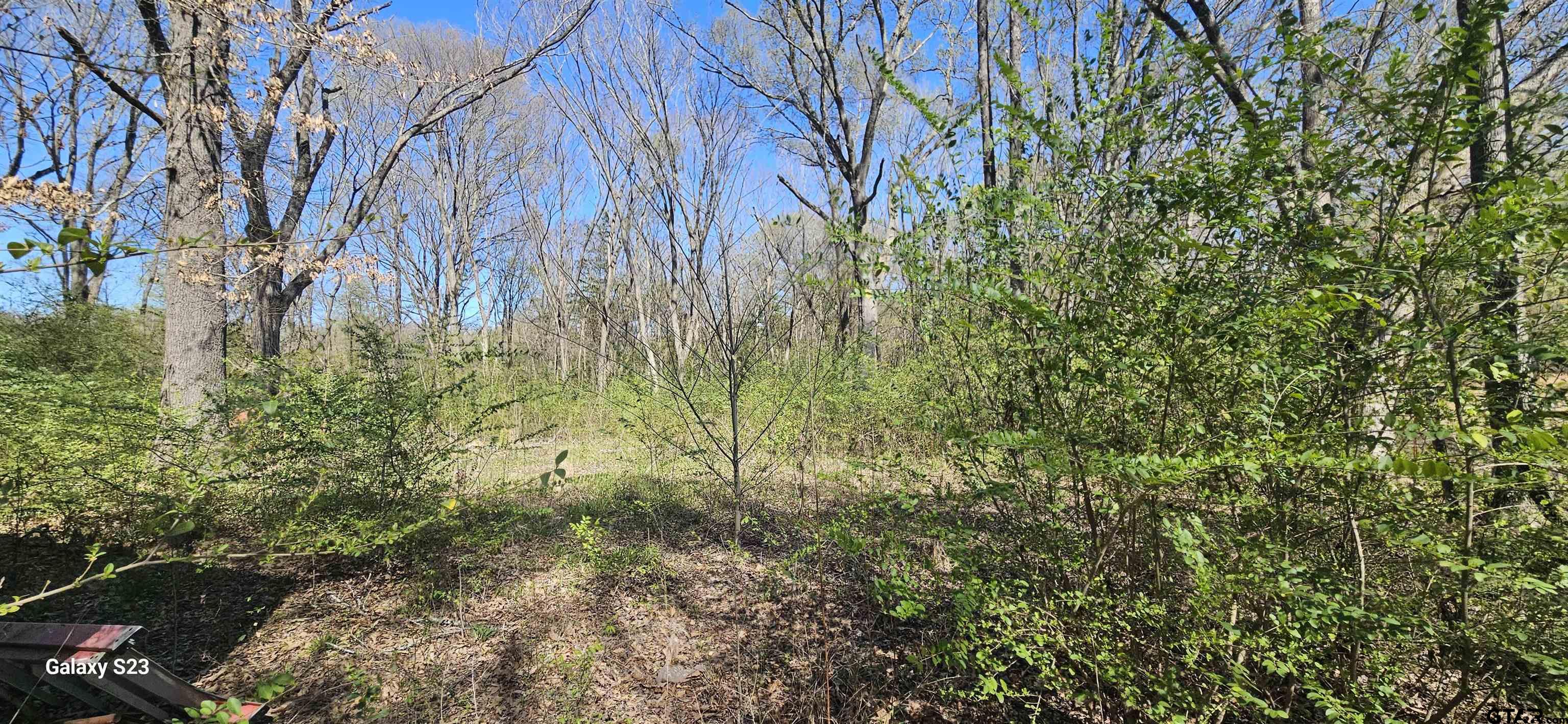 2415 Fm 17 Property Photo