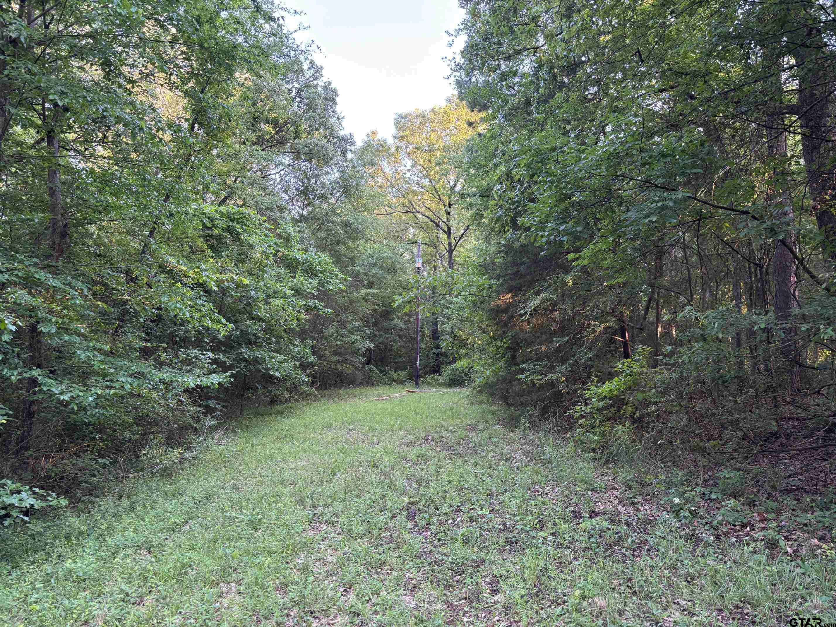 Tbd Goliad Property Photo 1
