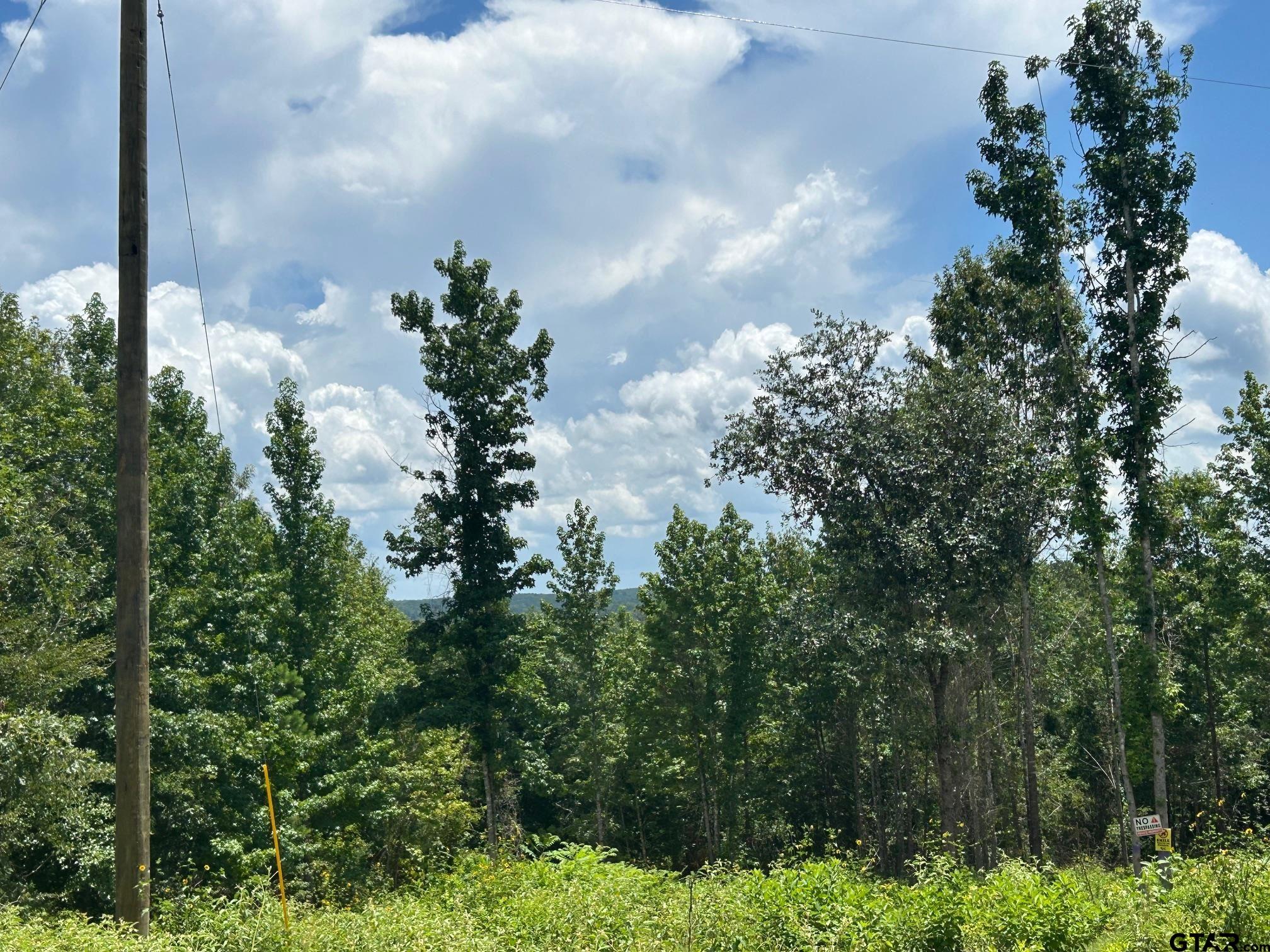 7399 Cr 378 Property Photo 1