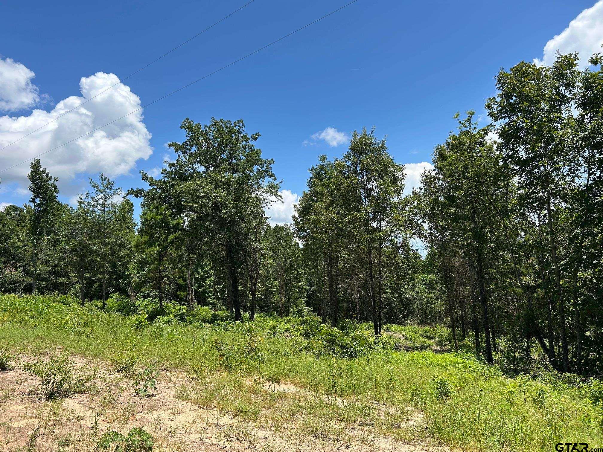 7399 Cr 378 Property Photo 2