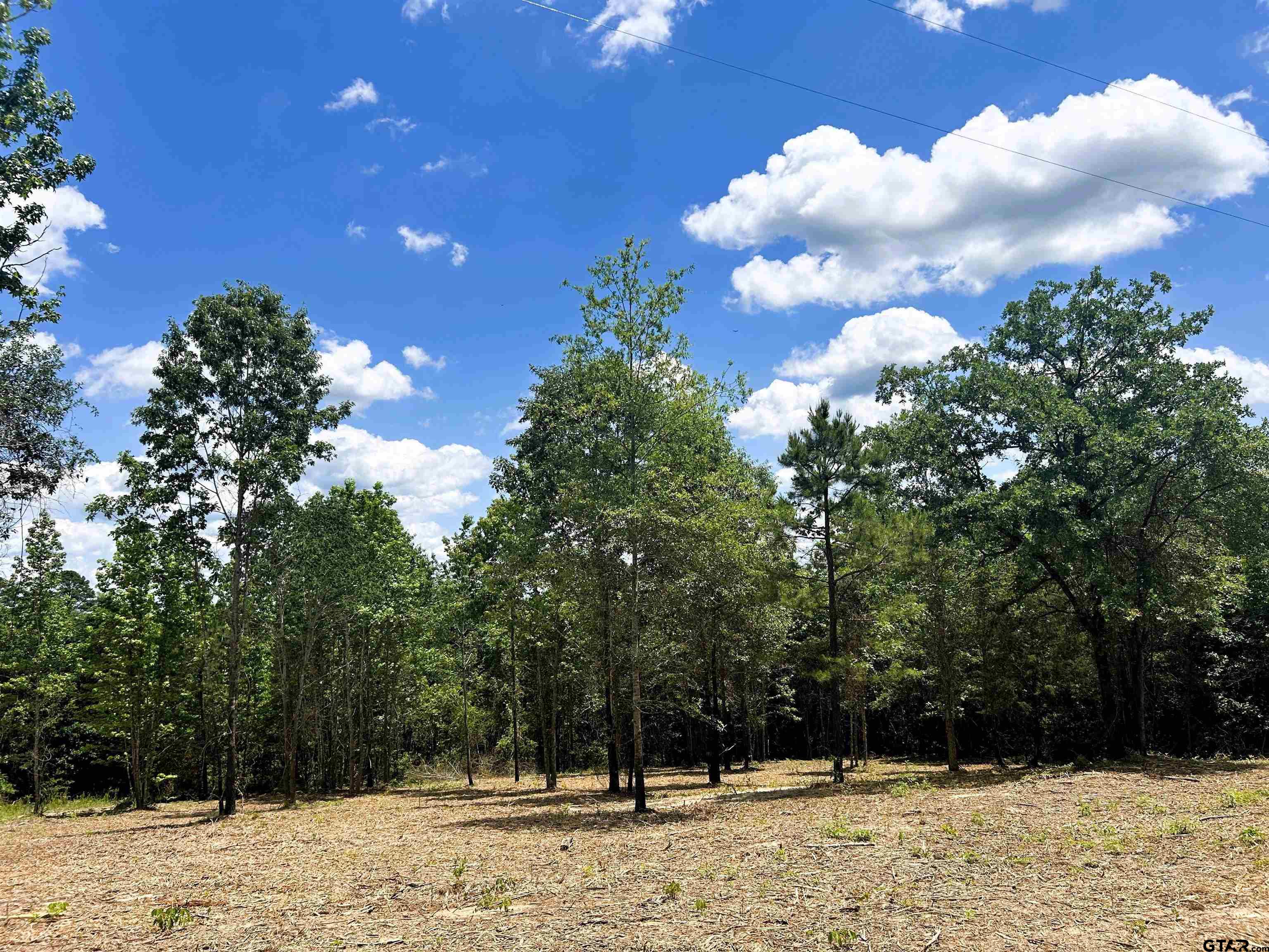 7399 Cr 378 Property Photo 3