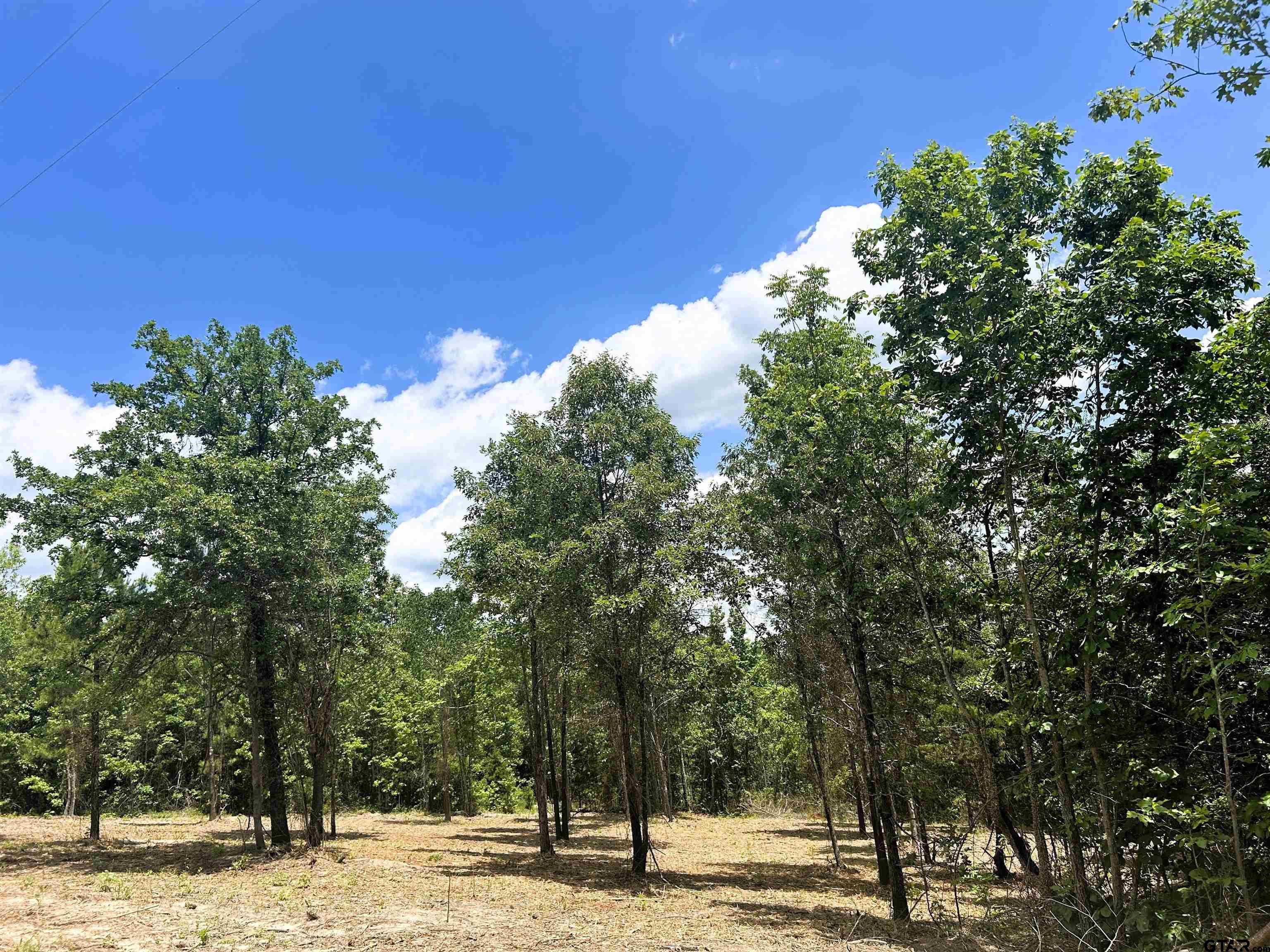 7399 Cr 378 Property Photo 5