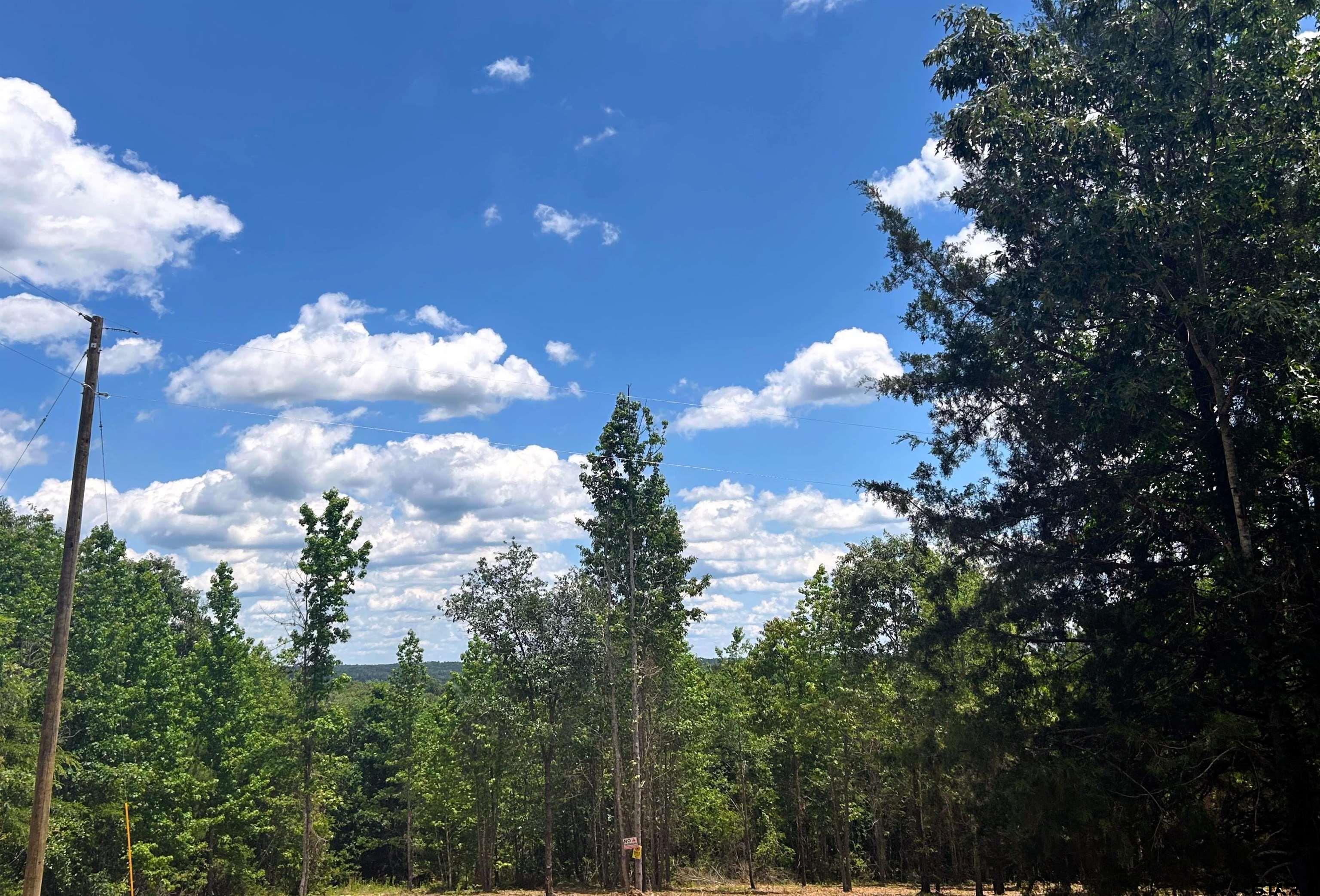 7399 Cr 378 Property Photo 6