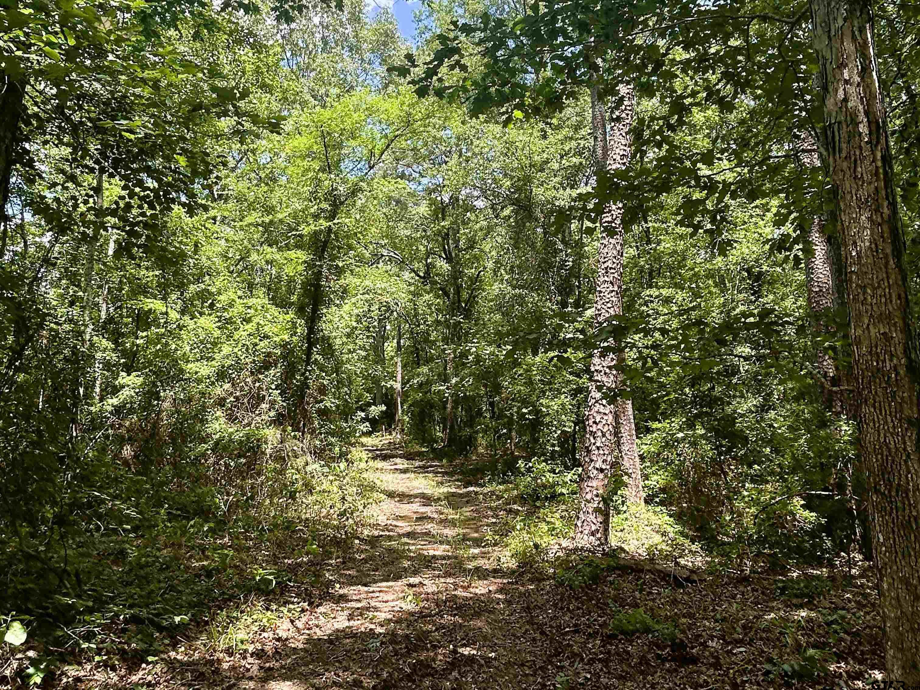 7399 Cr 378 Property Photo 7