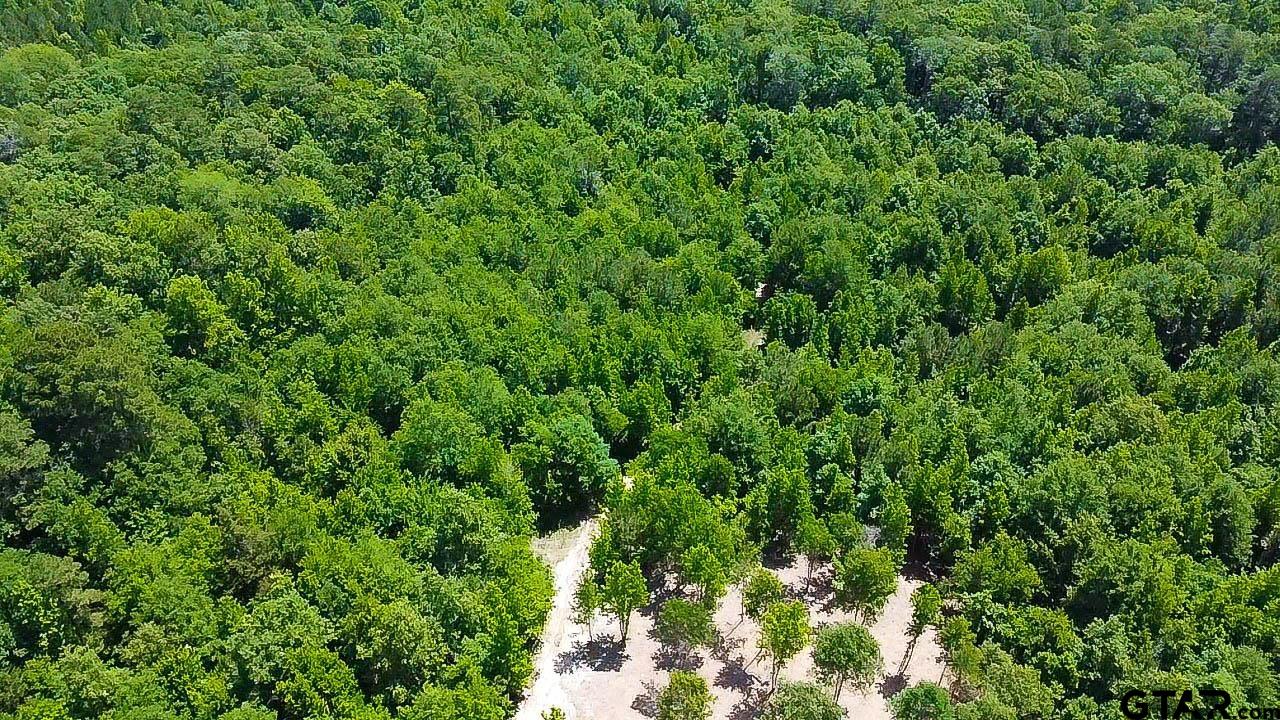 7399 Cr 378 Property Photo 10