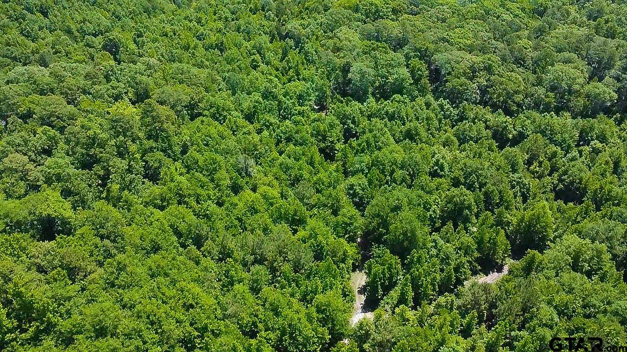 7399 Cr 378 Property Photo 11