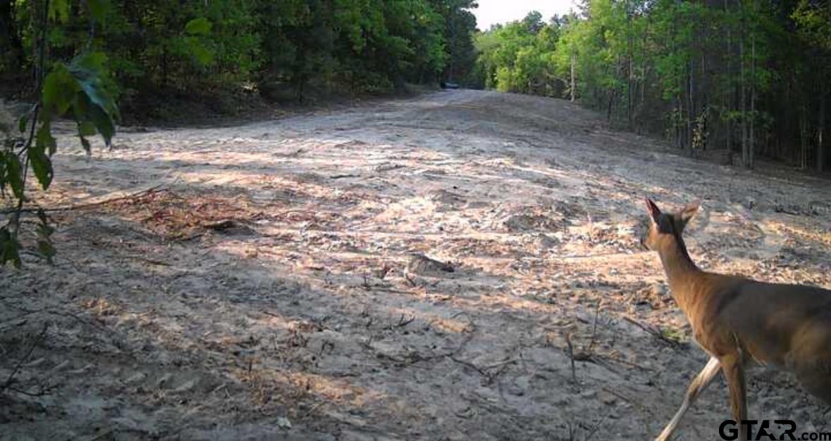 7399 Cr 378 Property Photo 14