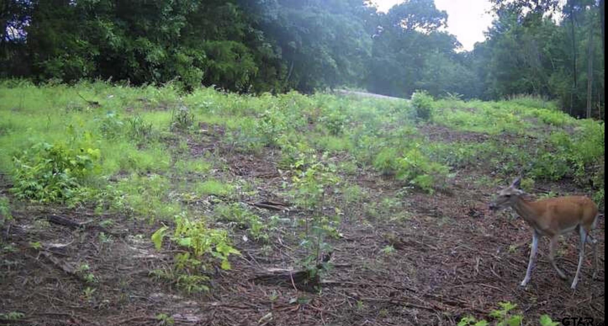 7399 Cr 378 Property Photo 18