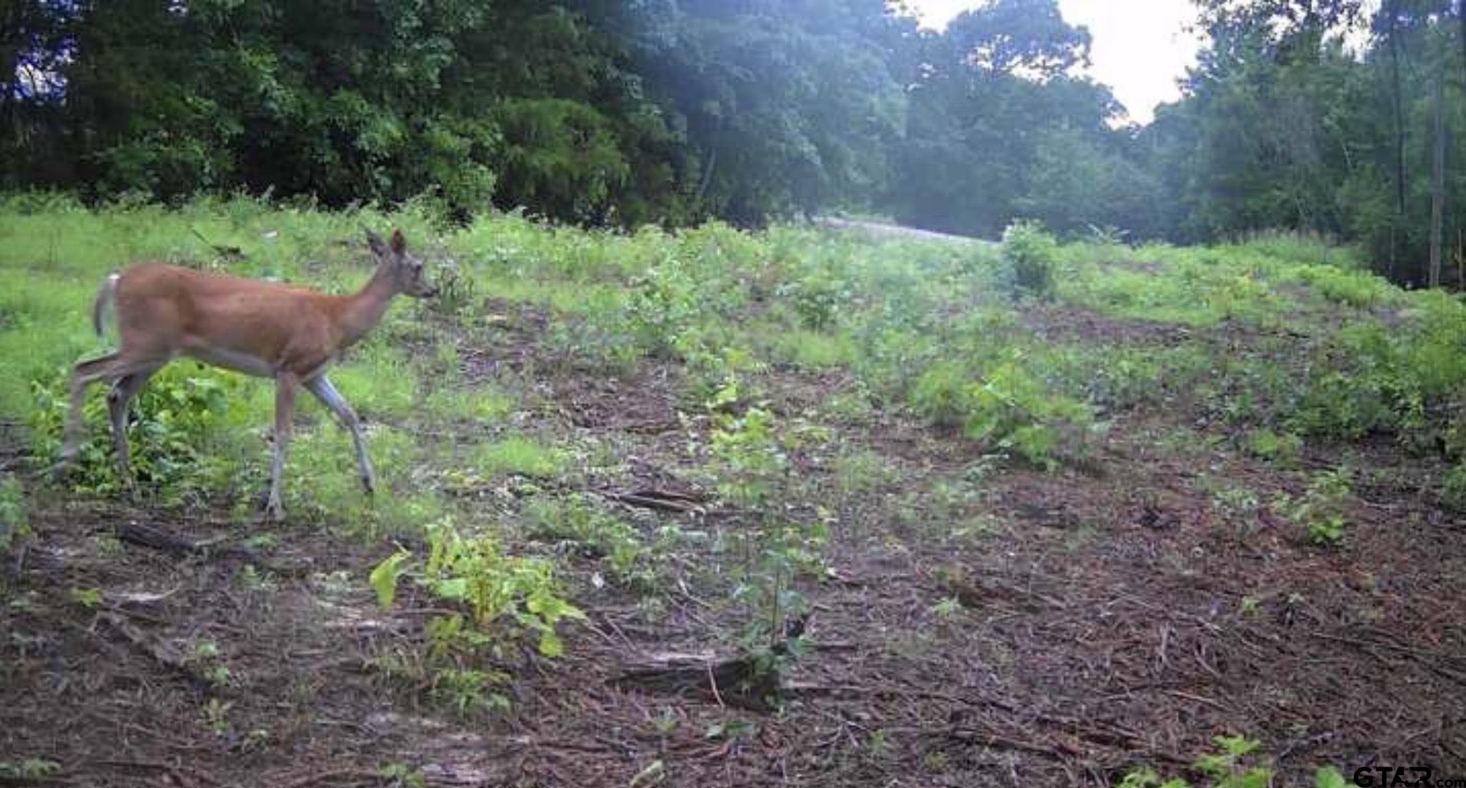 7399 Cr 378 Property Photo 19