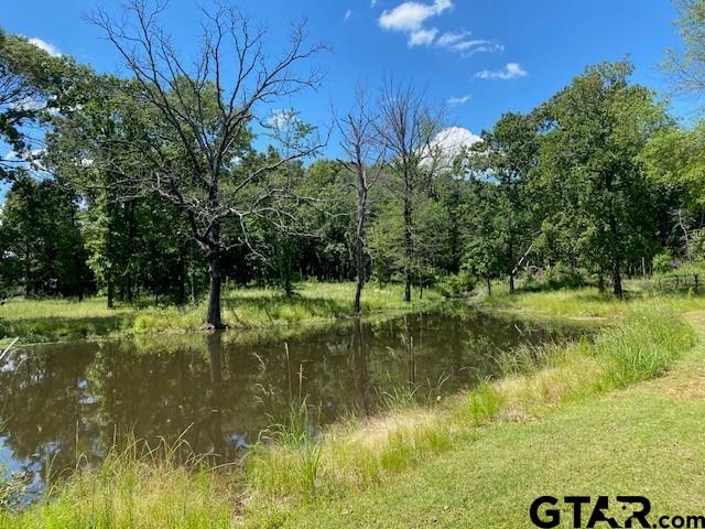 610 Old Tyler Hwy Property Photo