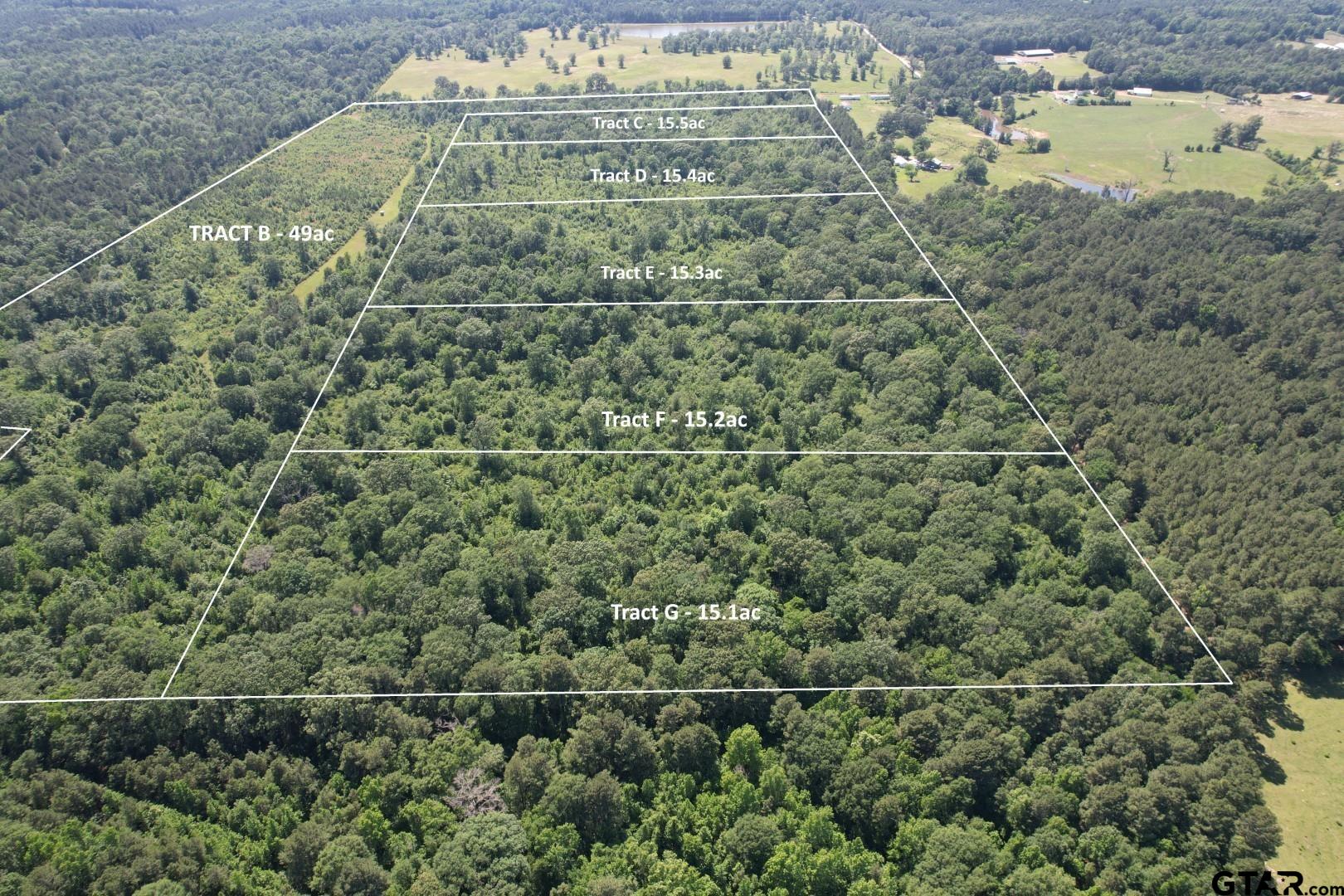 Tbd-e County Road 4021 Property Photo 1