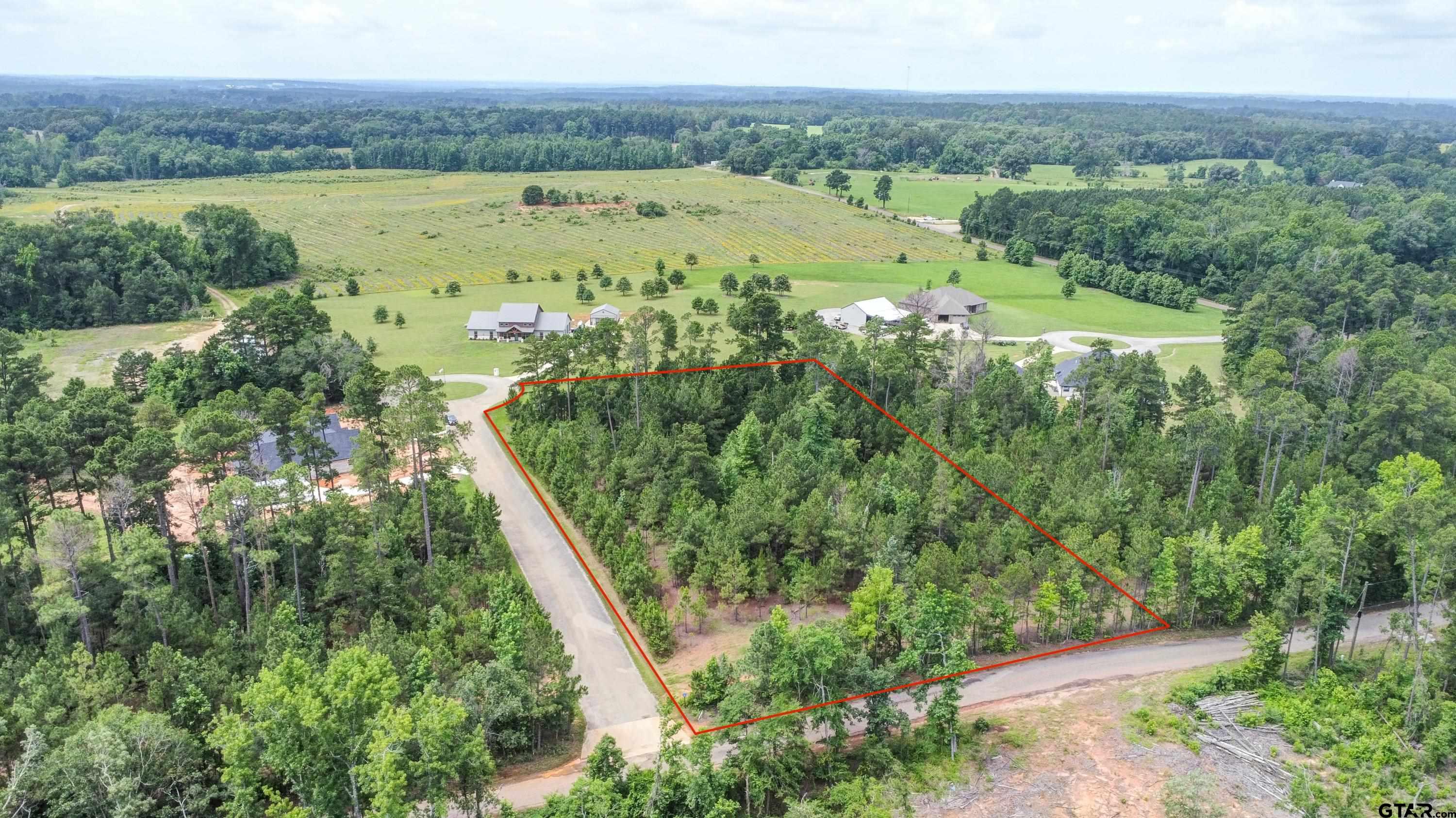 Lot 4 Blk 2 Loblolly Ln Property Photo 1
