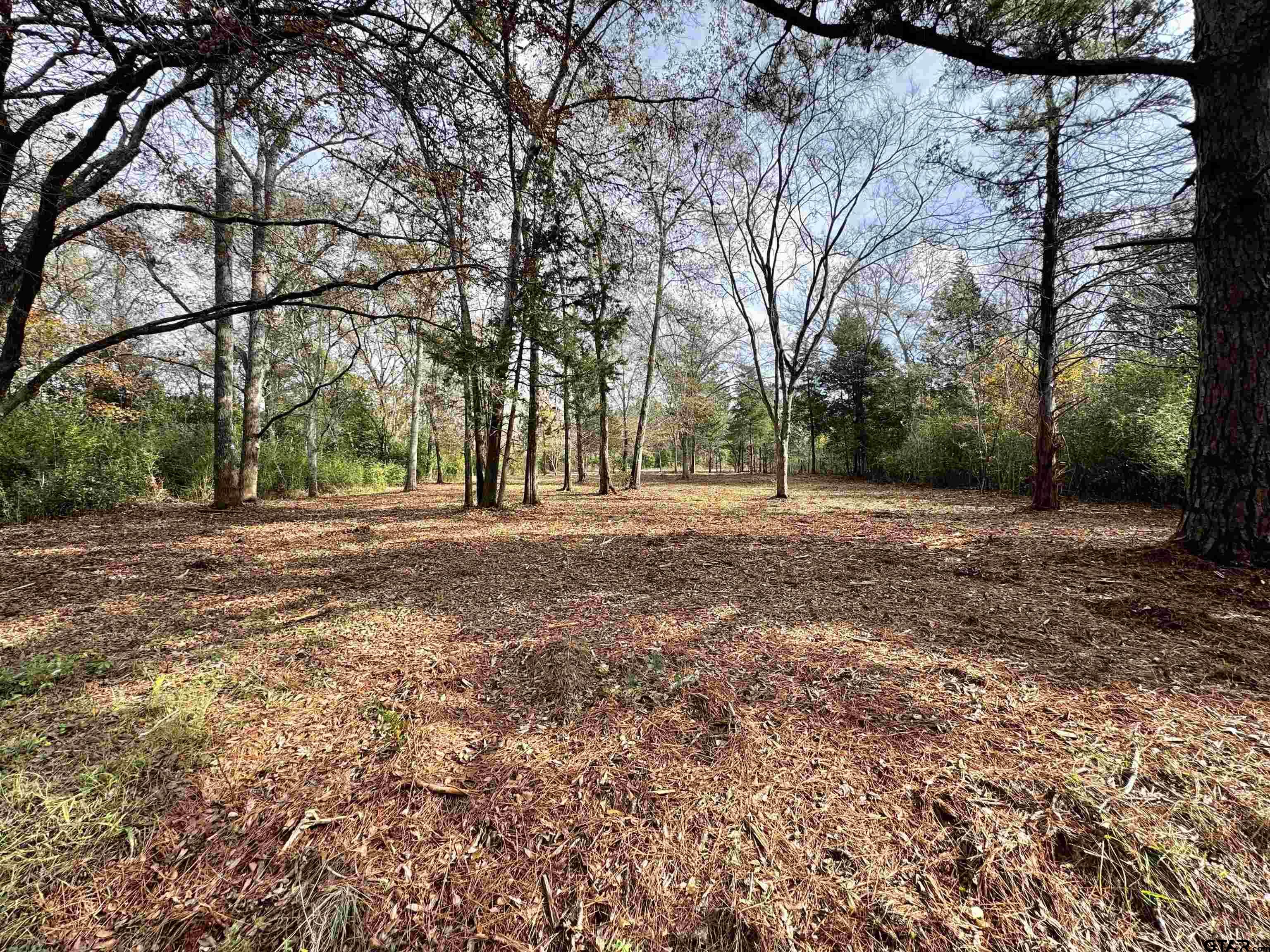 Tbd Lakeshore Dr., Lot#11 Property Photo 1