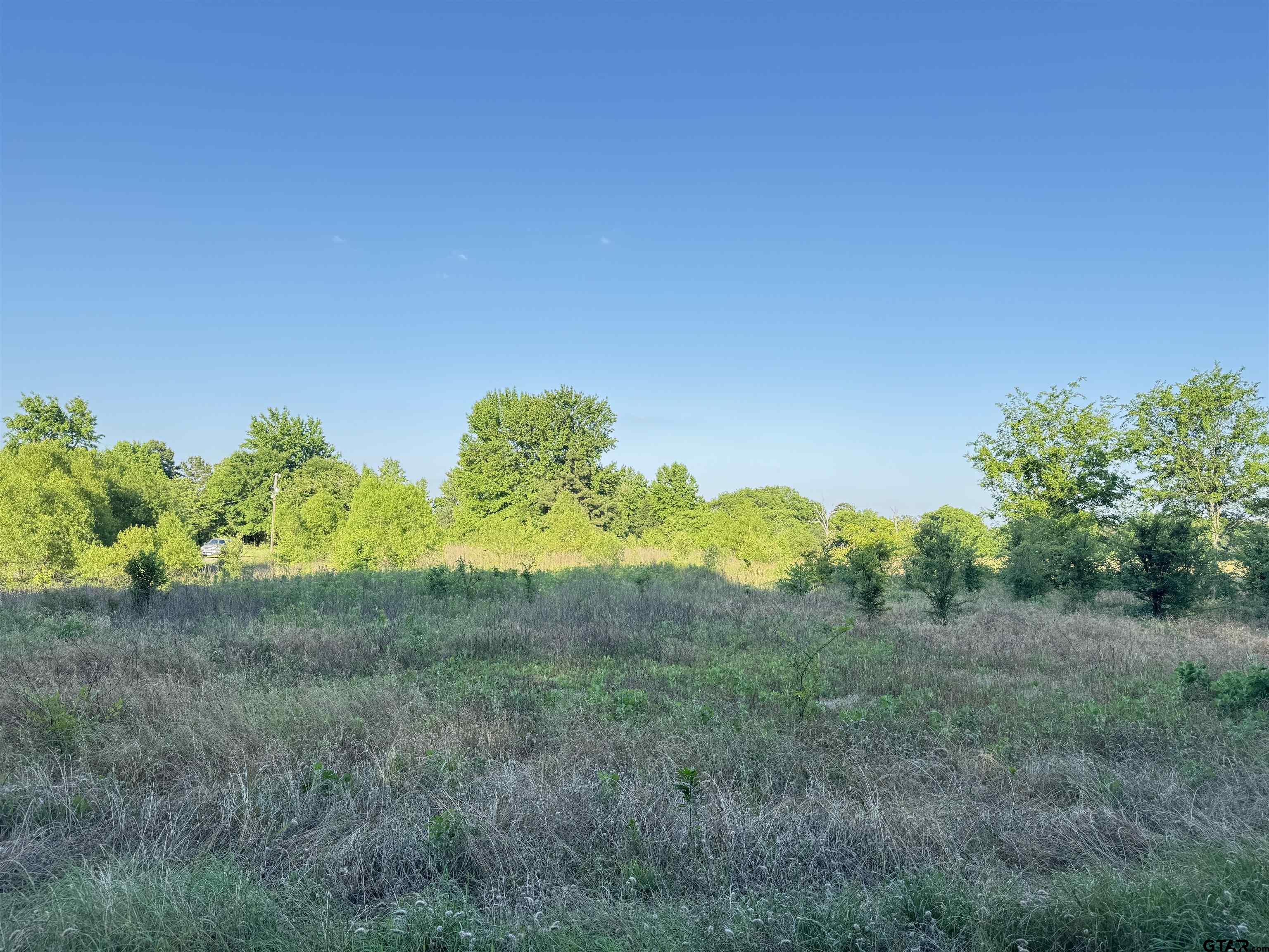 Tbd County Road 3115 Property Photo 1