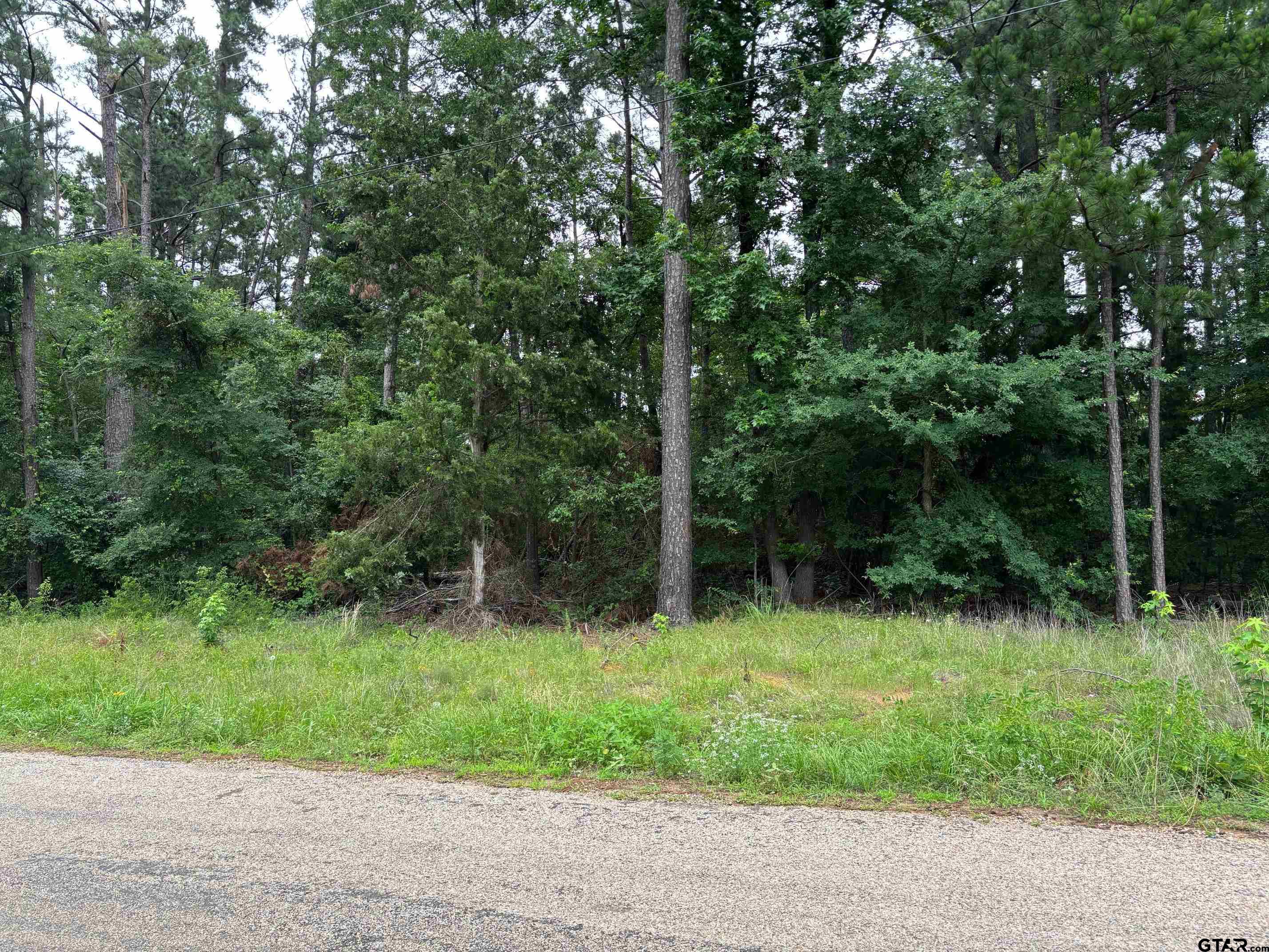 Tbd Cr 2121 Property Photo 1