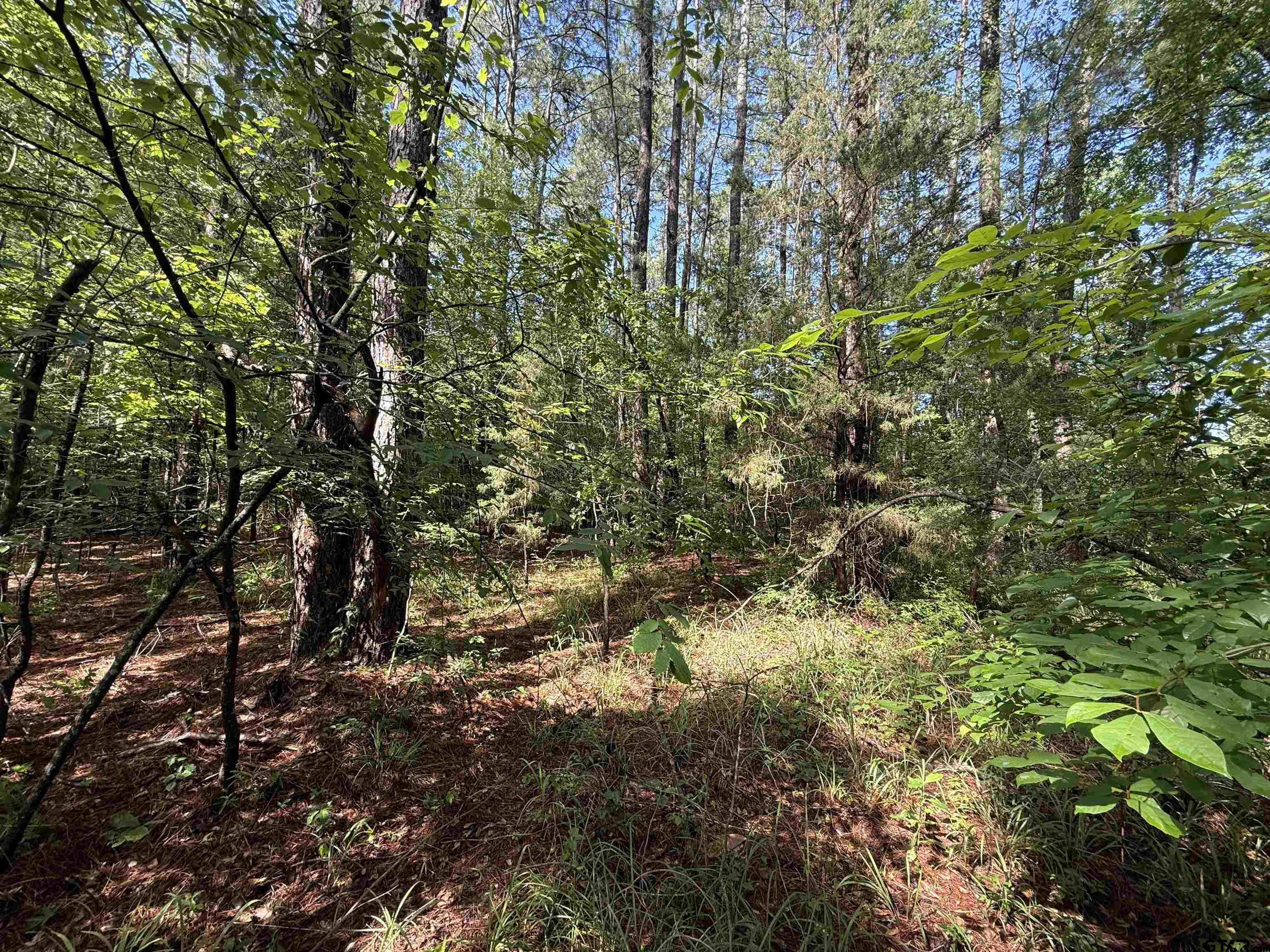 Tbd Cr 4194 Tr-1 Property Photo 2