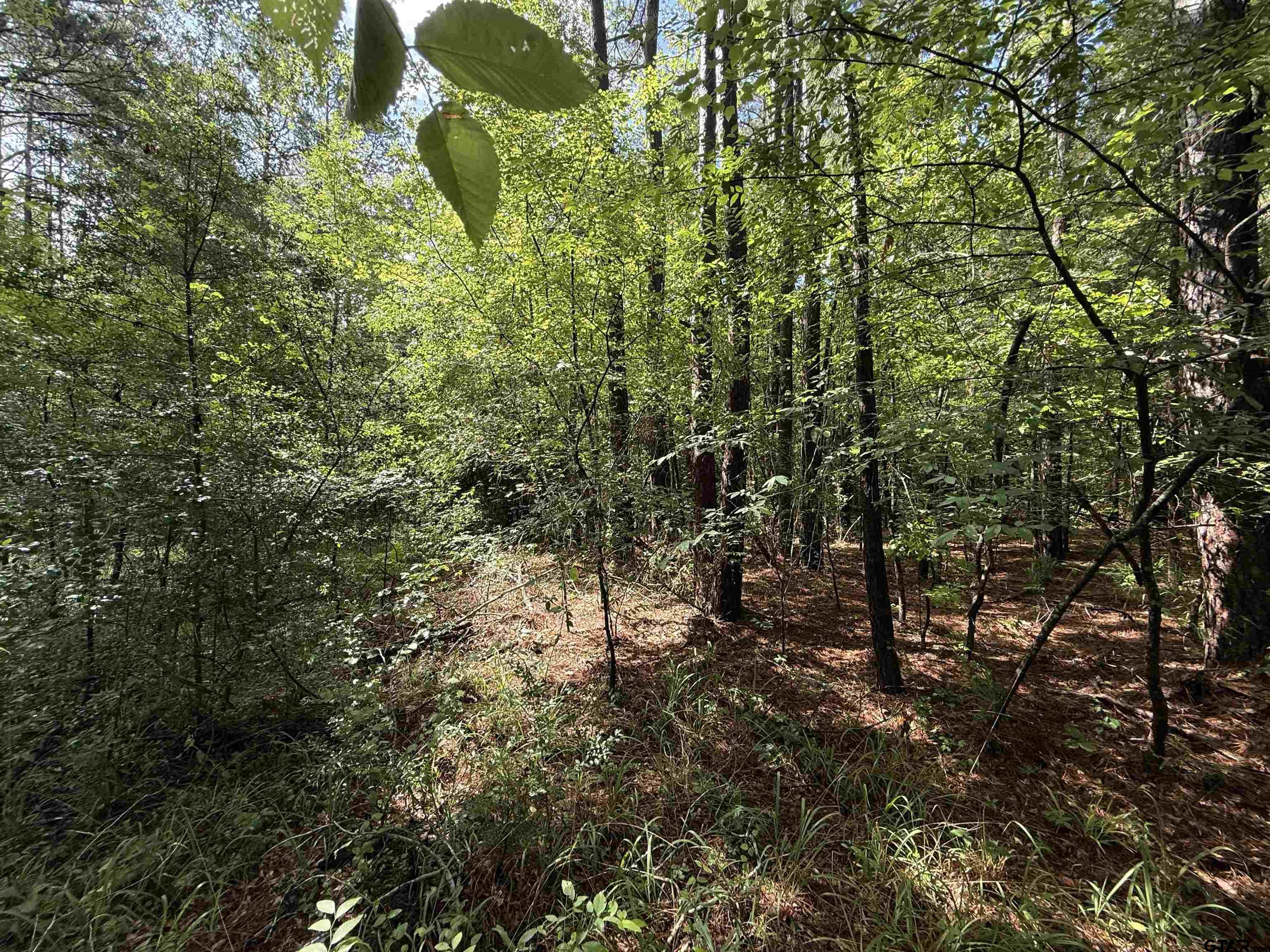 Tbd Cr 4194 Tr-1 Property Photo 3