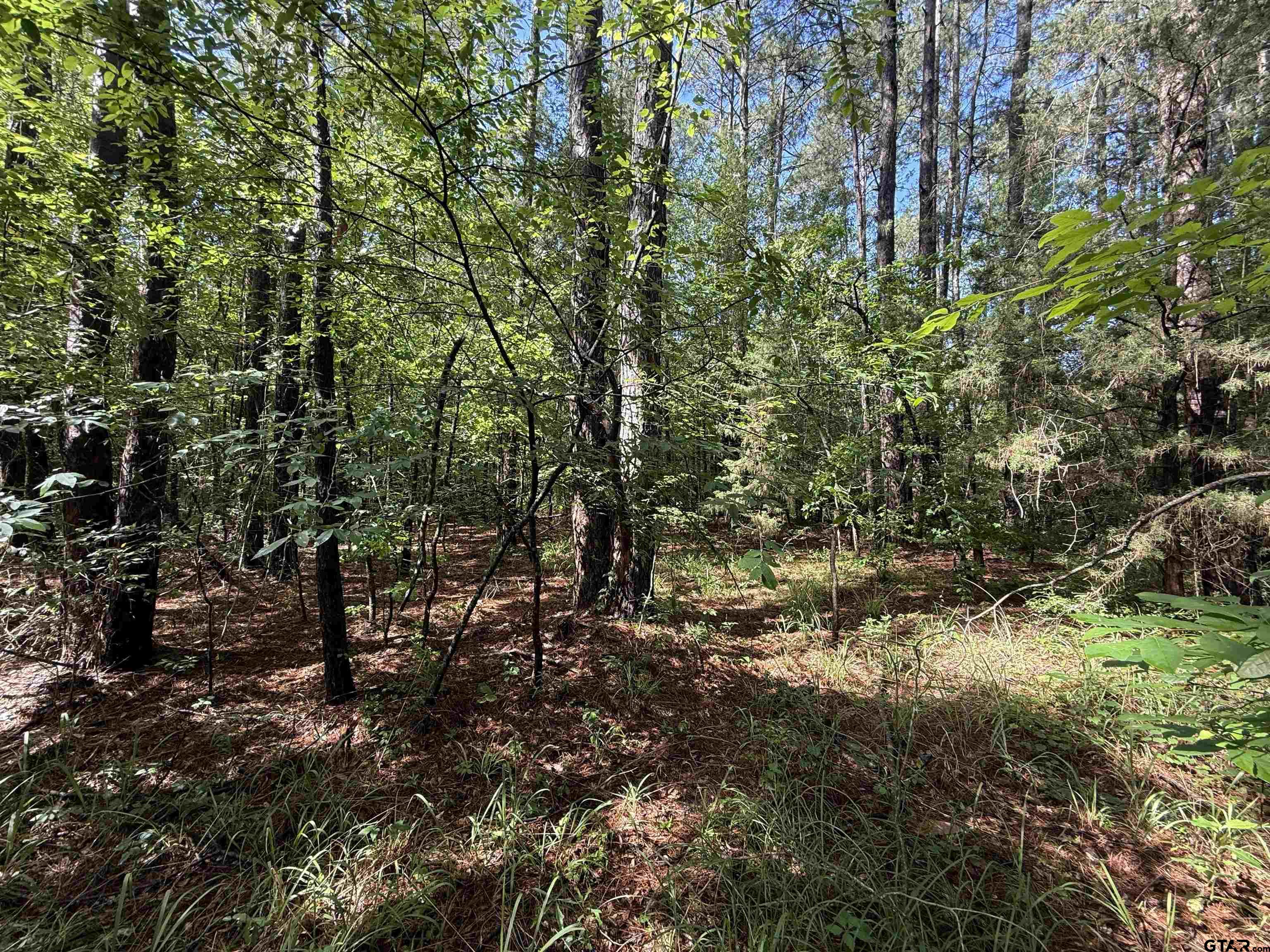 Tbd Cr 4194 Tr-1 Property Photo 4