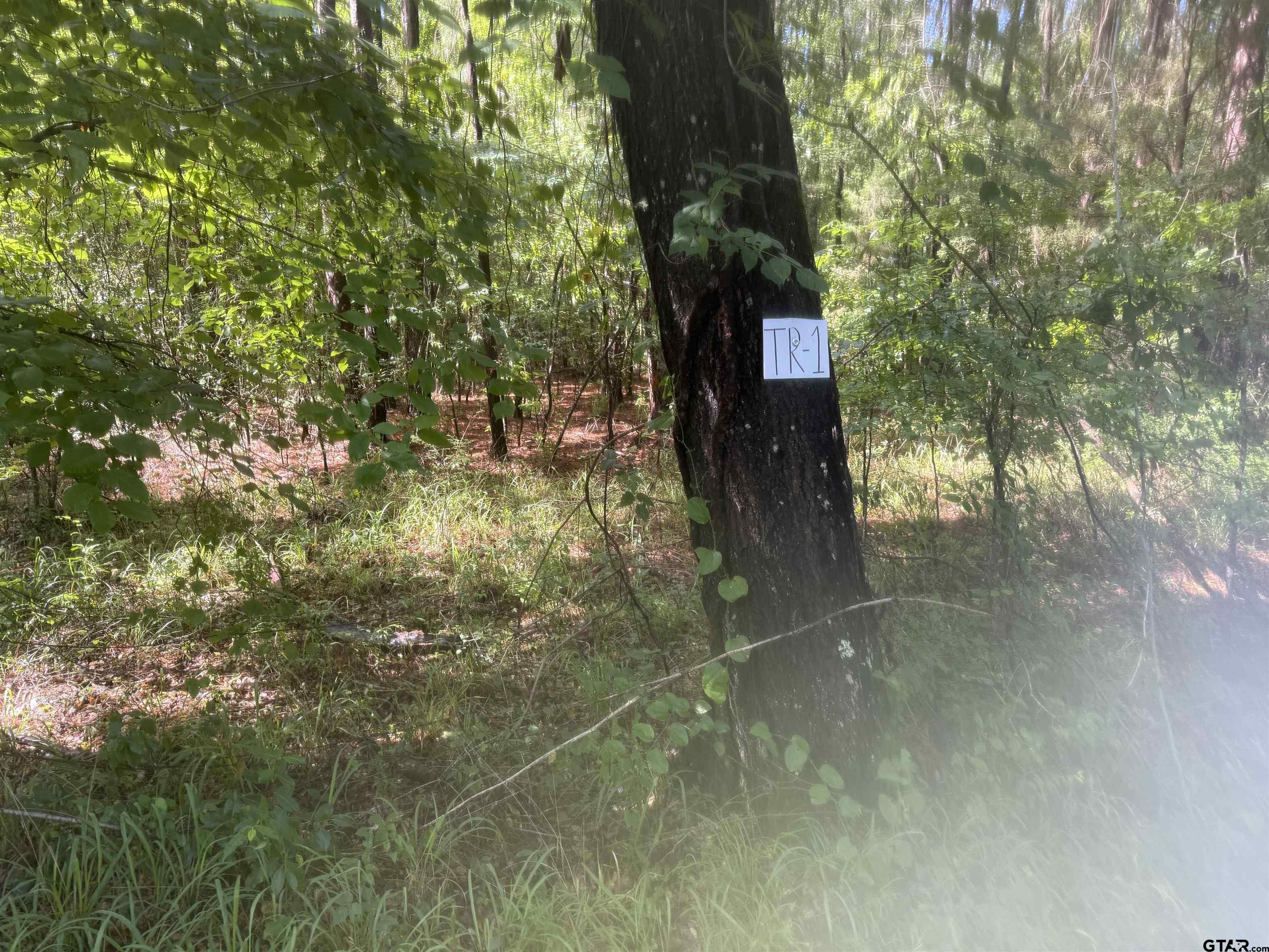 Tbd Cr 4194 Tr-1 Property Photo 5