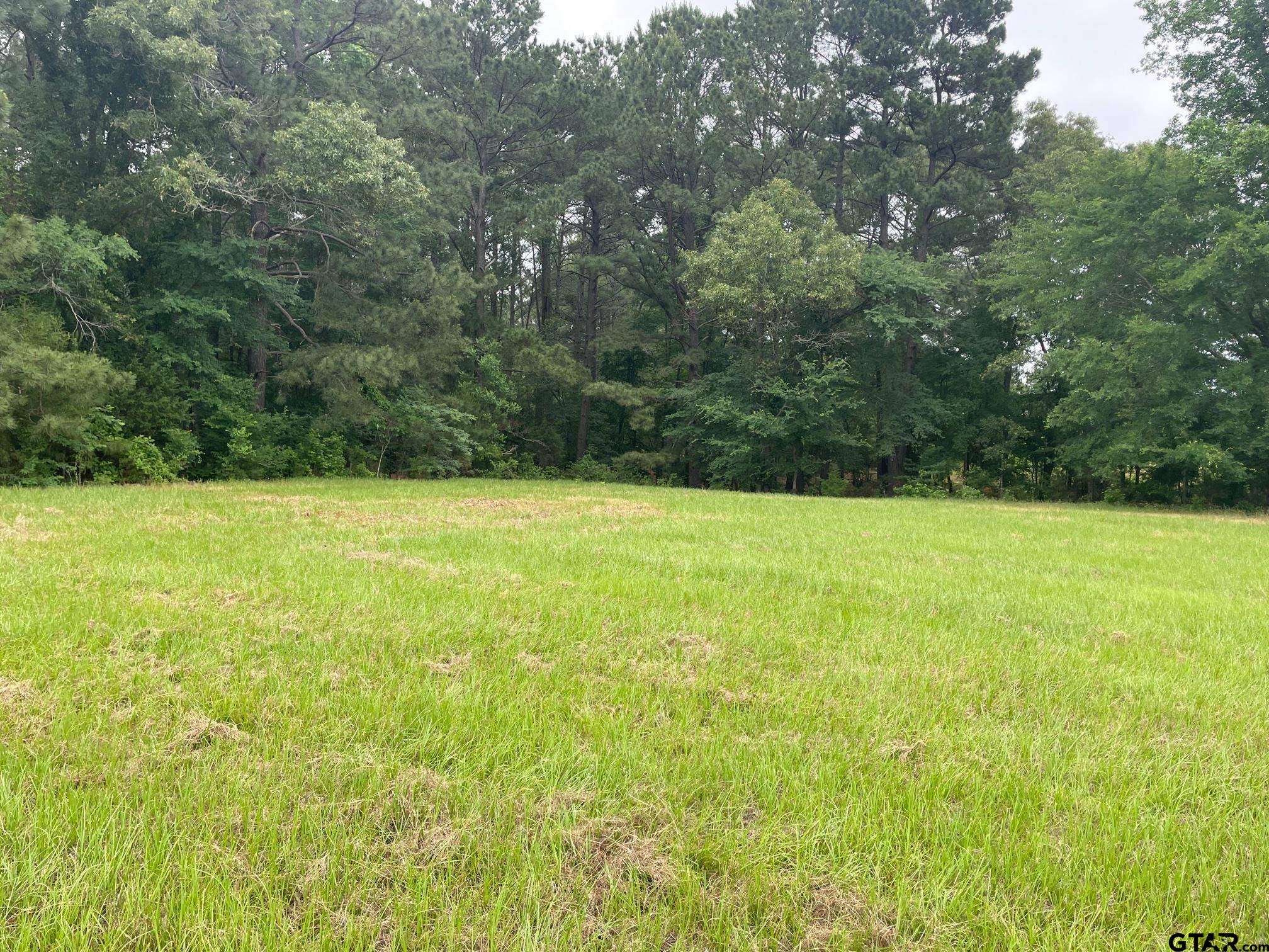 20384 CR 4106 Lot 11 Property Photo 1