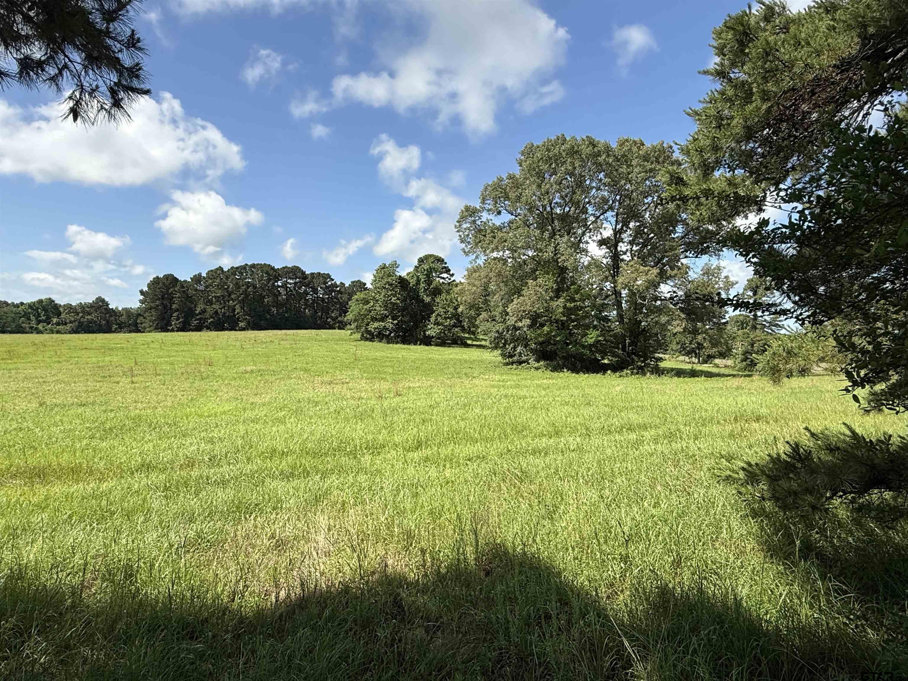 Tbd Cr 4194 Tr-6 Property Photo 1