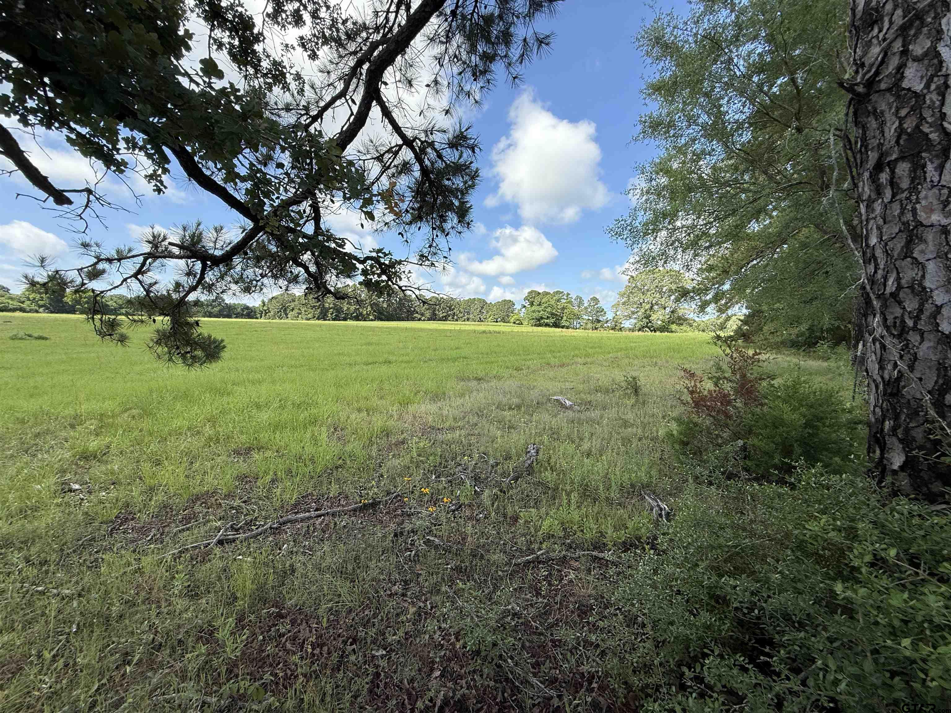 Tbd Cr 4194 Tr-7 Property Photo 1