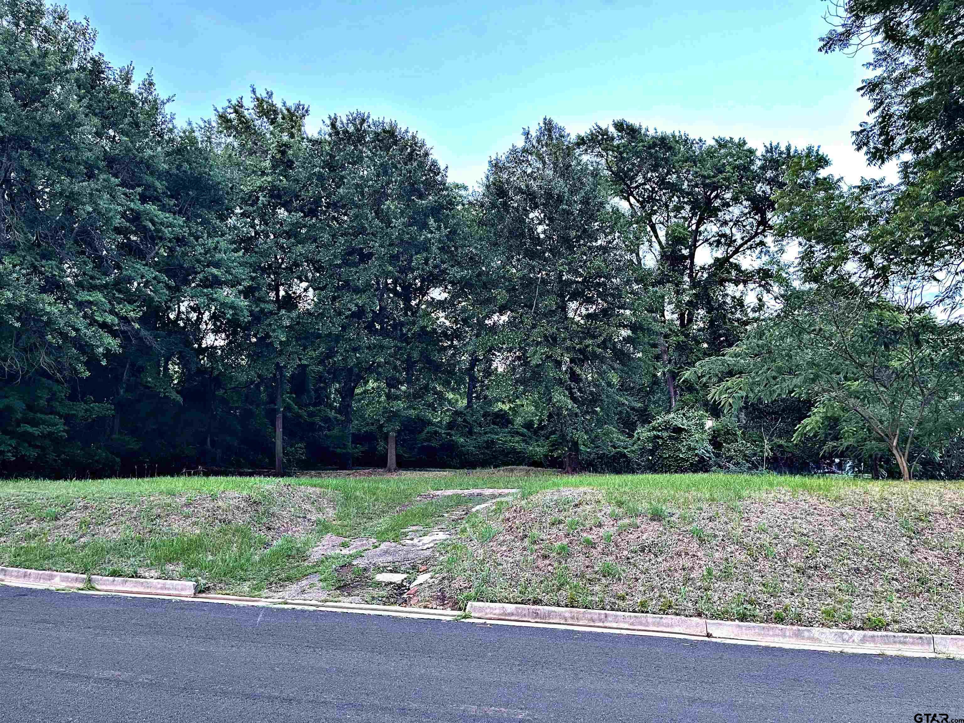 121 & 125 North Gaston Avenue Property Photo