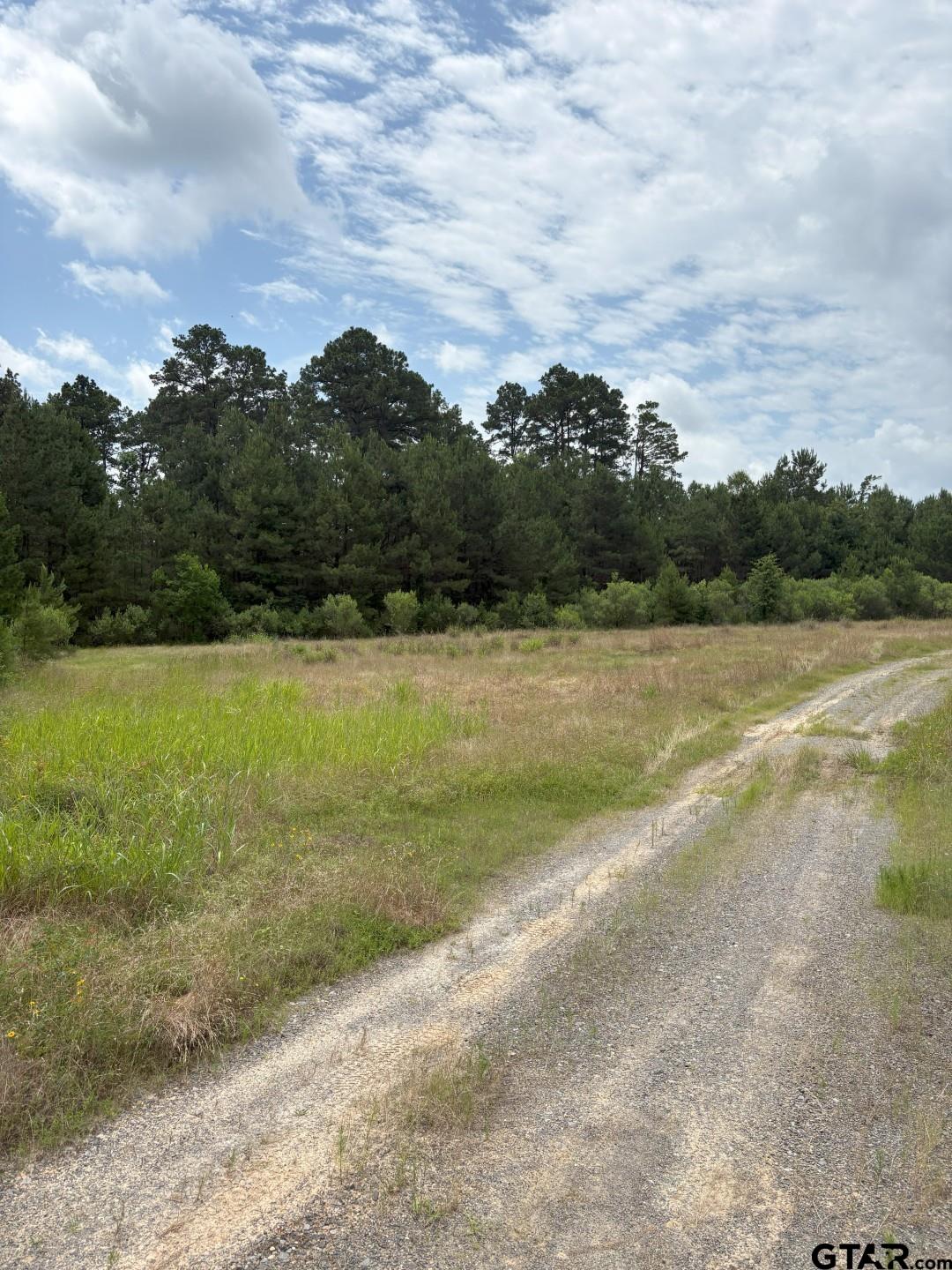 Tbd County Road 425 Property Photo 1