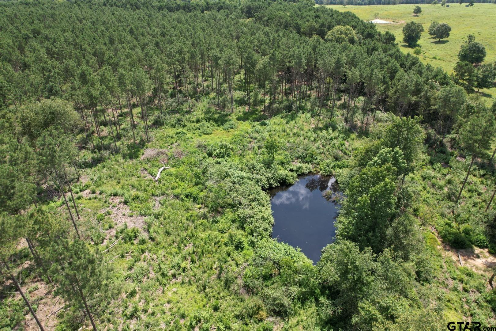 Tbd Cr 3706 Property Photo 1