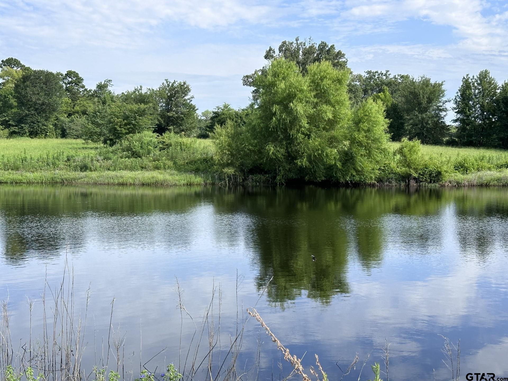 2092 Fm 21 Property Photo 1