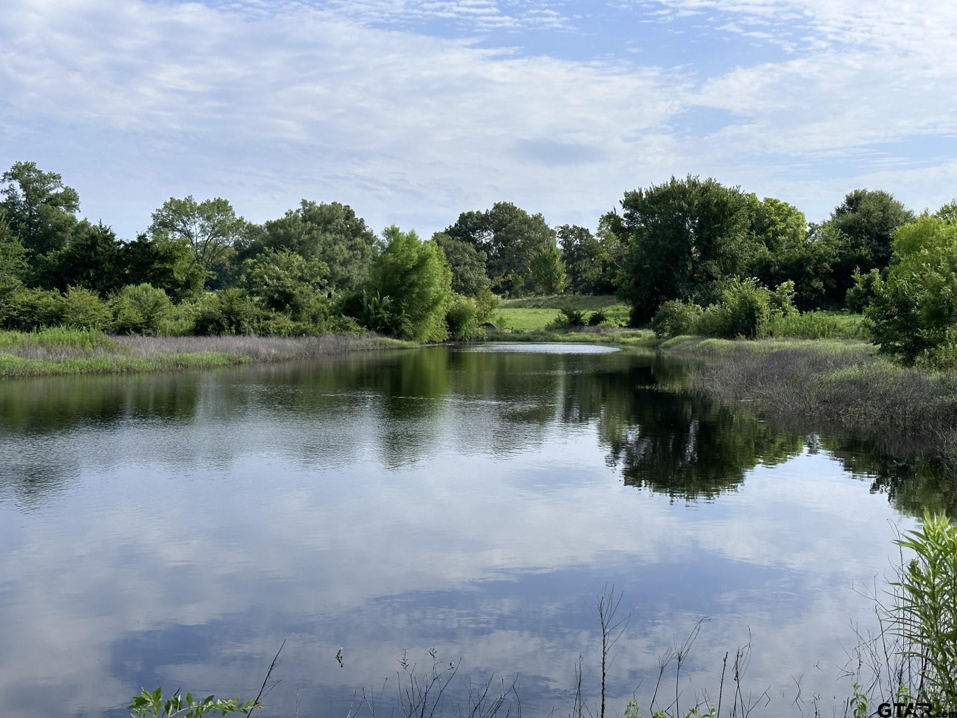 2092 Fm 21 Property Photo 6