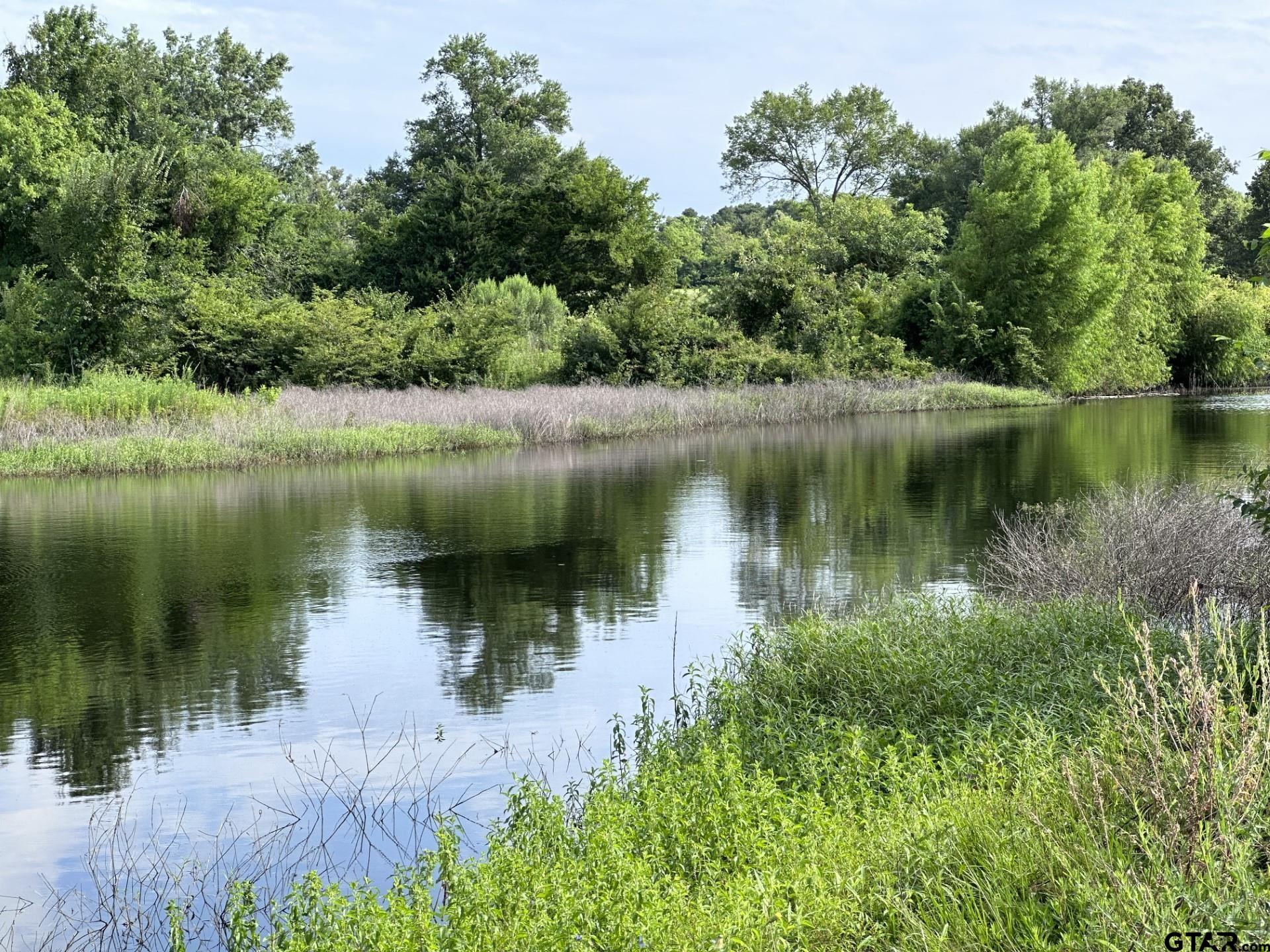 2092 Fm 21 Property Photo 7