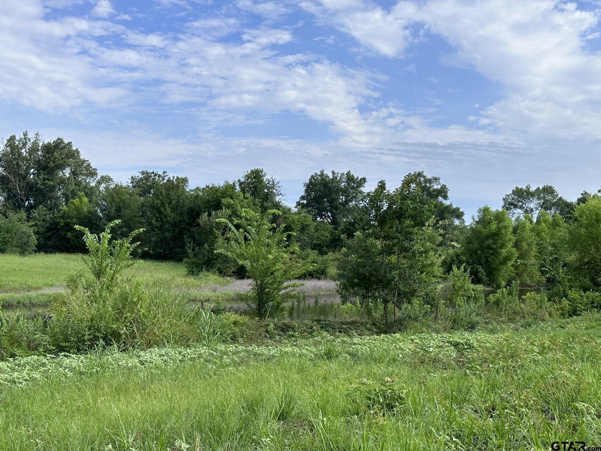 2092 Fm 21 Property Photo 8