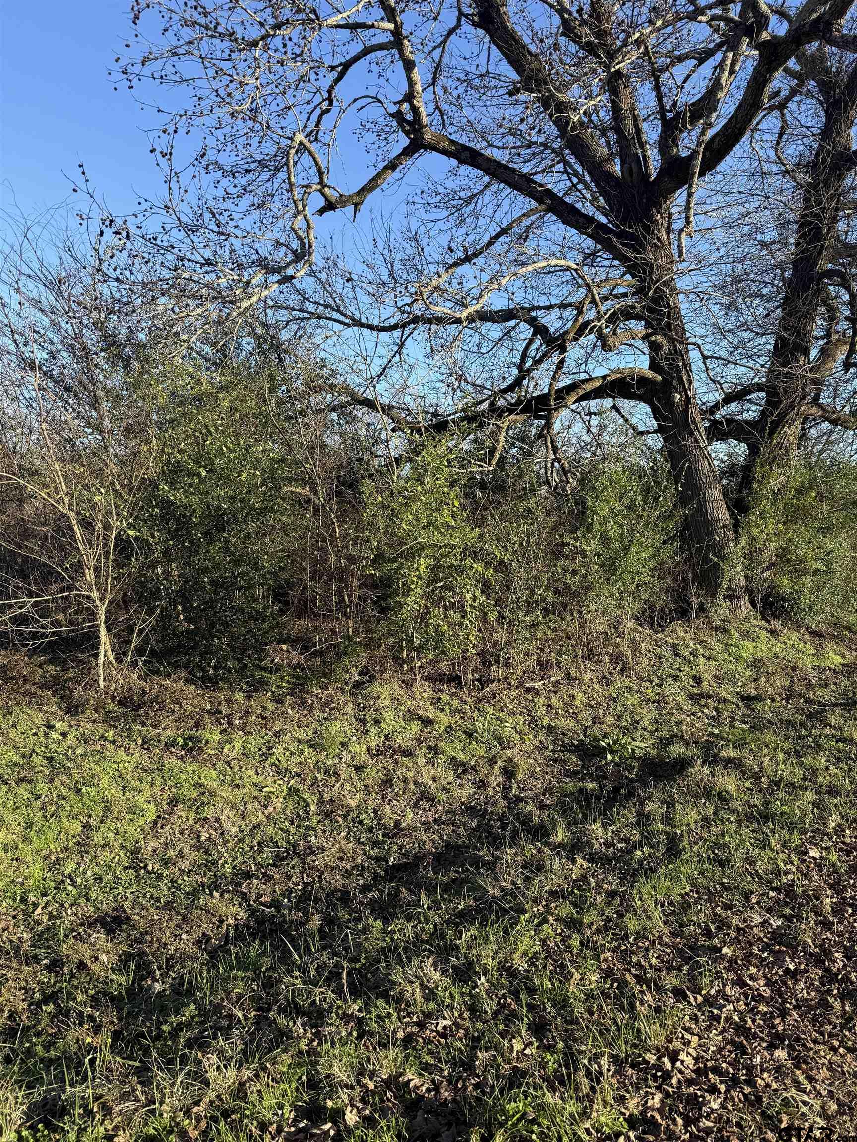 374 County Rd 1115 Property Photo 1