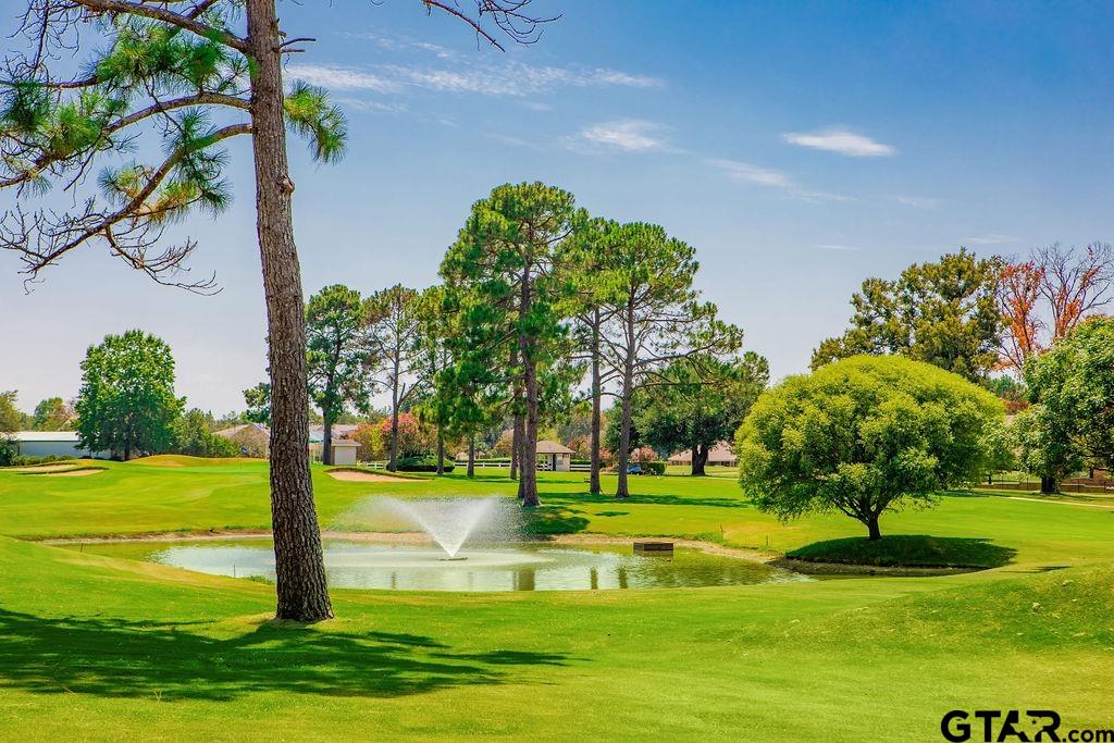 81 Ryder Cup Trail Property Photo 29