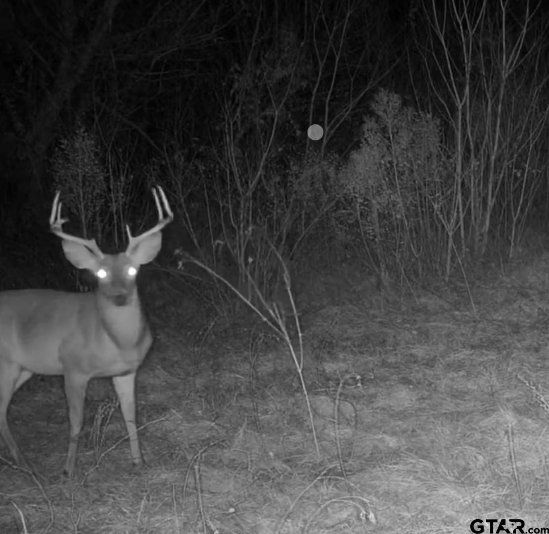 Tbd Reeves Rd Property Photo 1