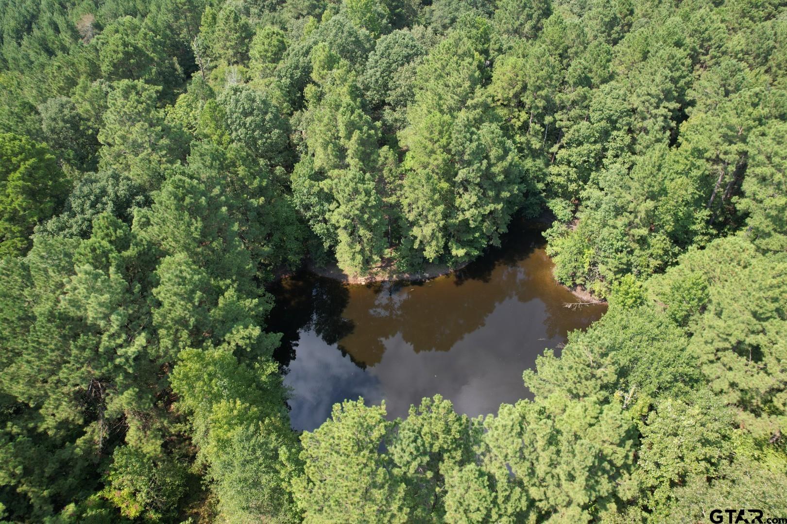 Tbd County Road 283 Property Photo 1