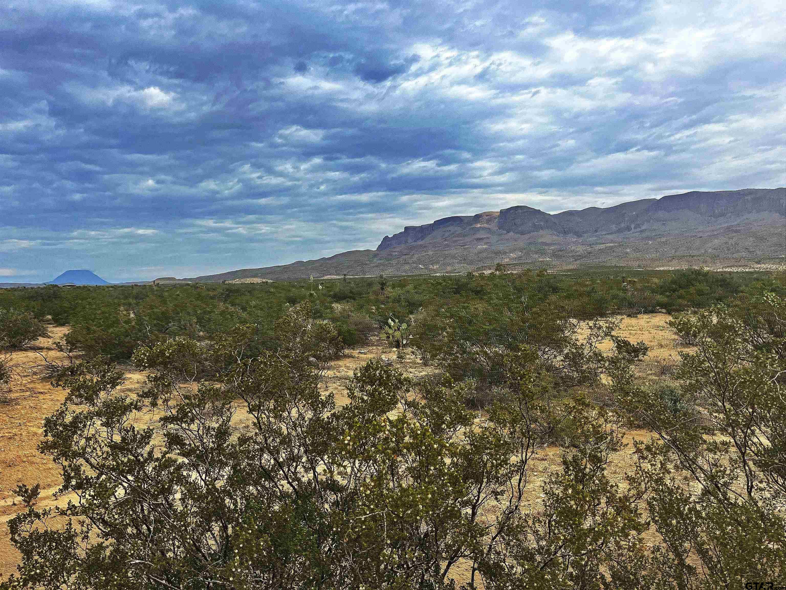 14833 Carico (aka Circle D Ranch Rd. On Original Map) Property Photo 1