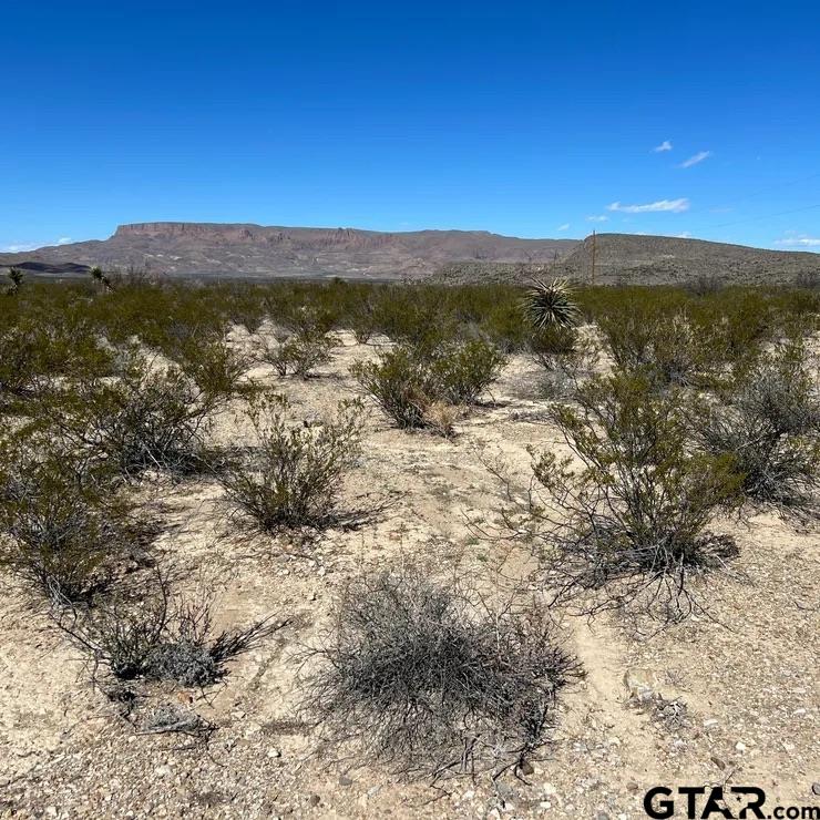 31466 Ringtail North Tract Property Photo 1